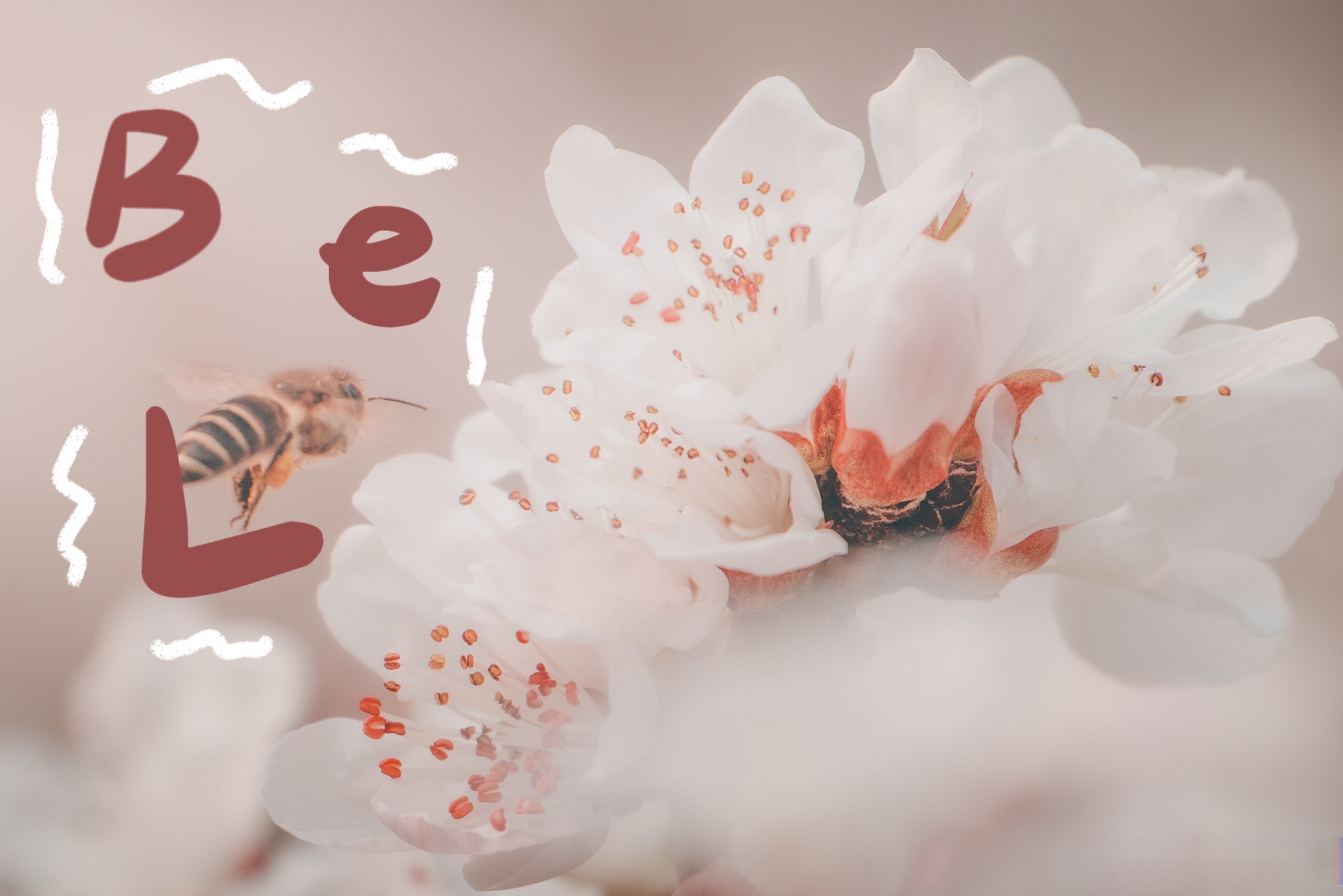 北大复试结果正在加载中,希望我们下个春天相约燕园!欢迎晒