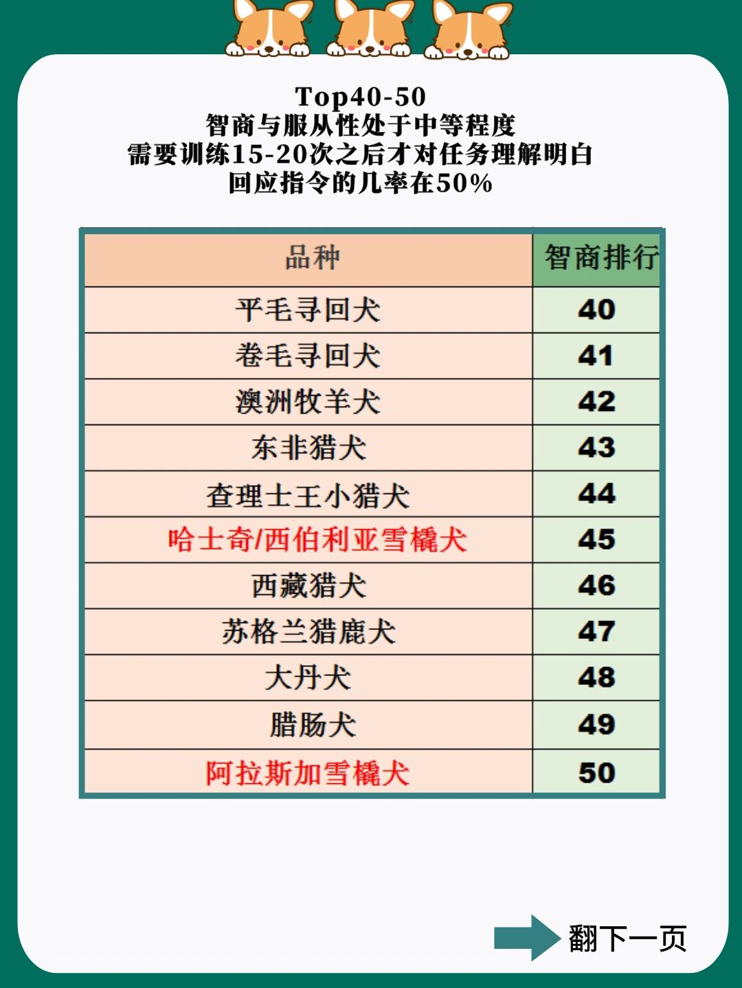 狗狗智商排行榜前5097你家狗狗在第几71