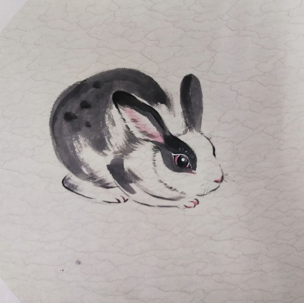 国画兔子姿态图片
