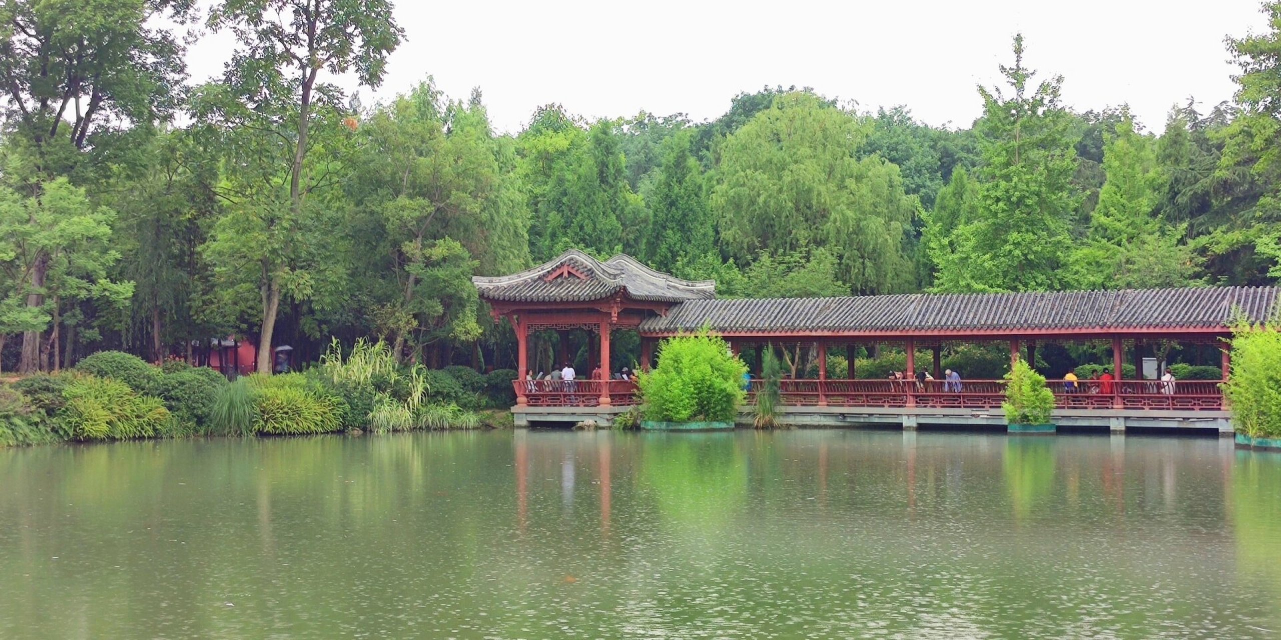 成都丨南郊公园 成都南郊公园,中式园林的艺术魅力94 成都的南郊