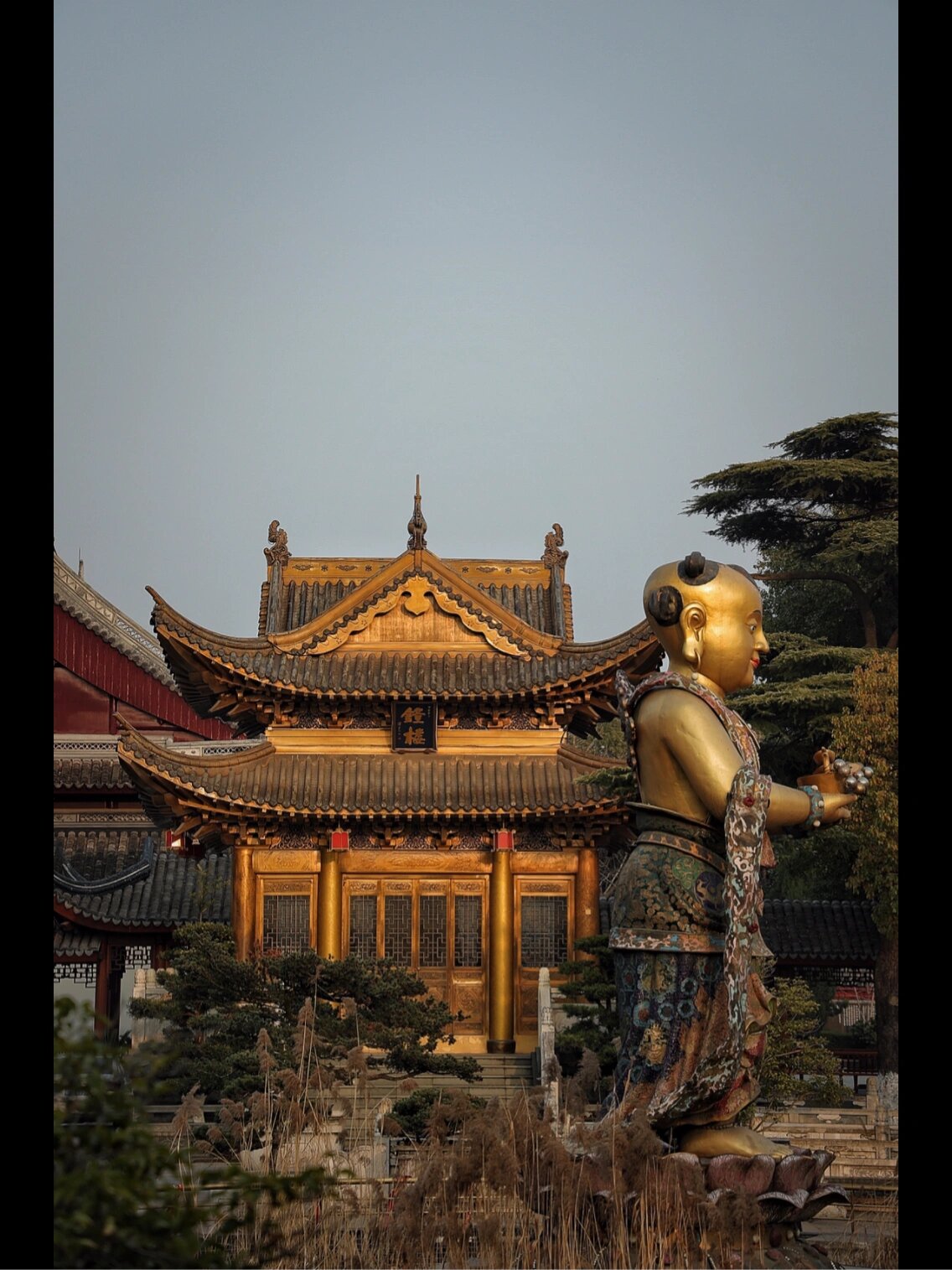 魔都最震撼的寺院   上海金山东林寺 东林寺座落于上海市金山区朱泾镇