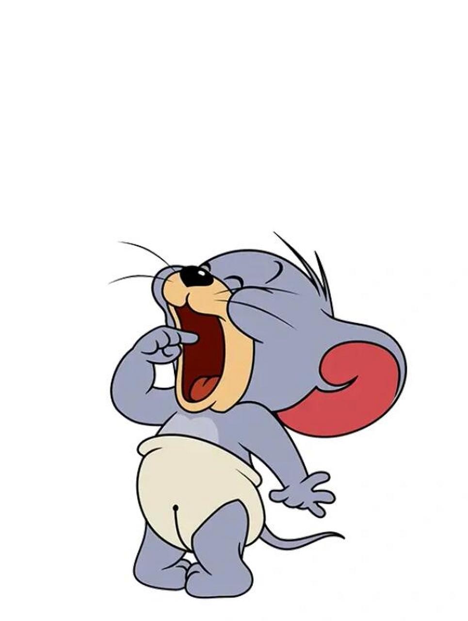 每天认识一个ip《猫和老鼠tom and jerry》 82158215ip介绍