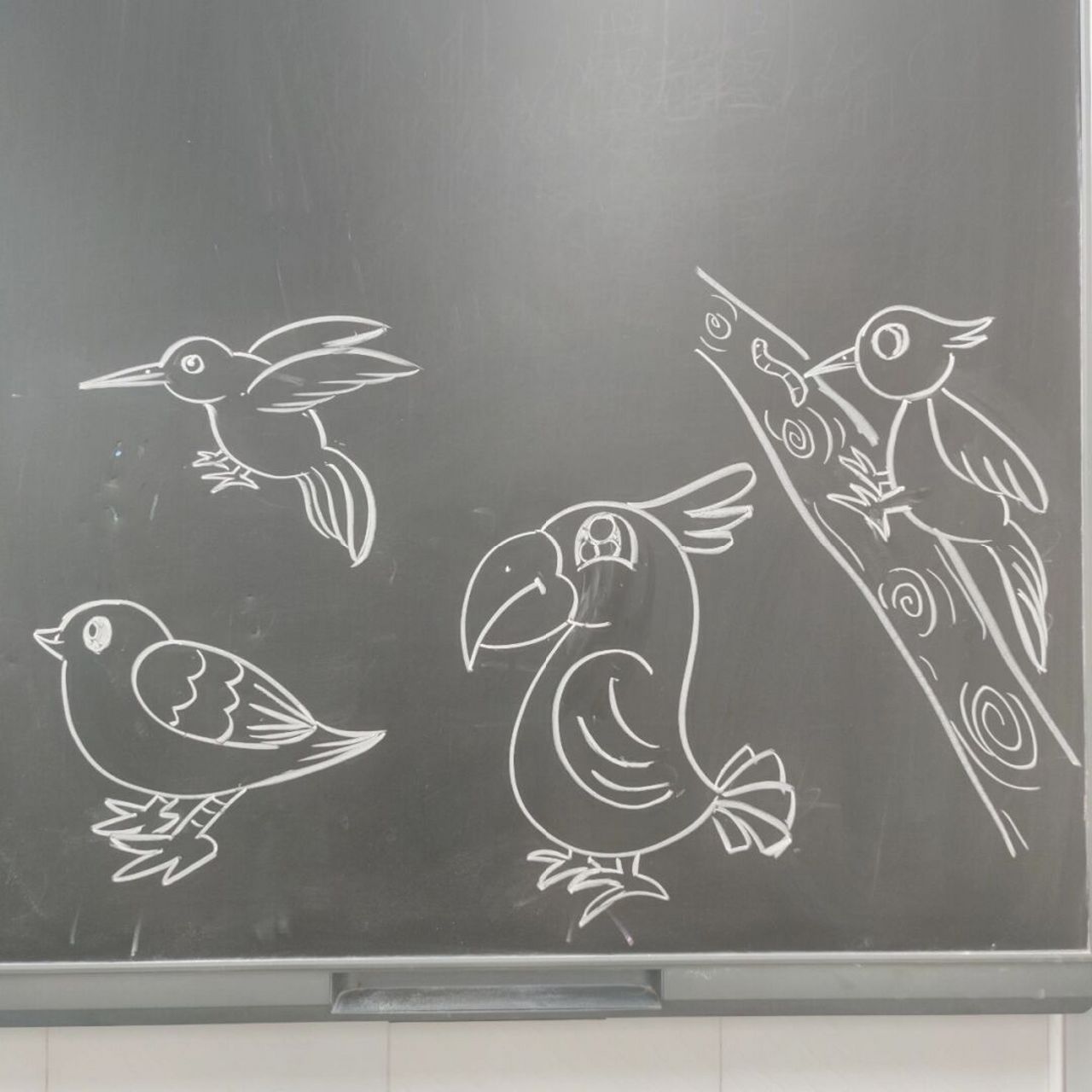 人美版小学美术课《我喜欢的鸟》粉笔画示范 #黑板画# #粉笔画# #简笔