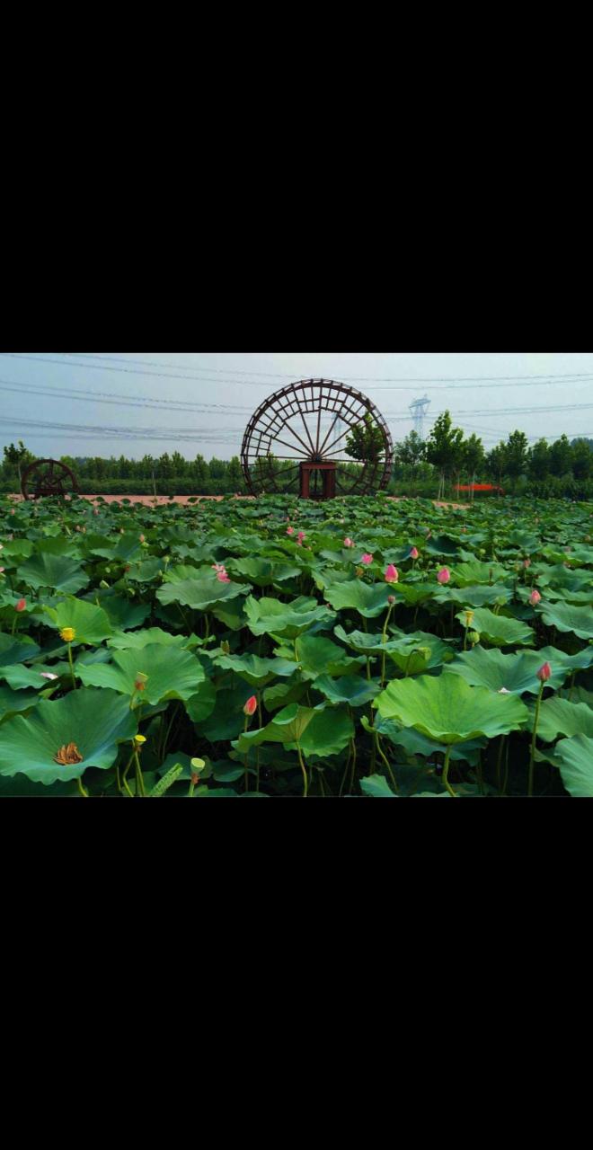 创作灵感 亲子游玩好去处 北三县旅游 杨家寨 自驾游  香河地处京津