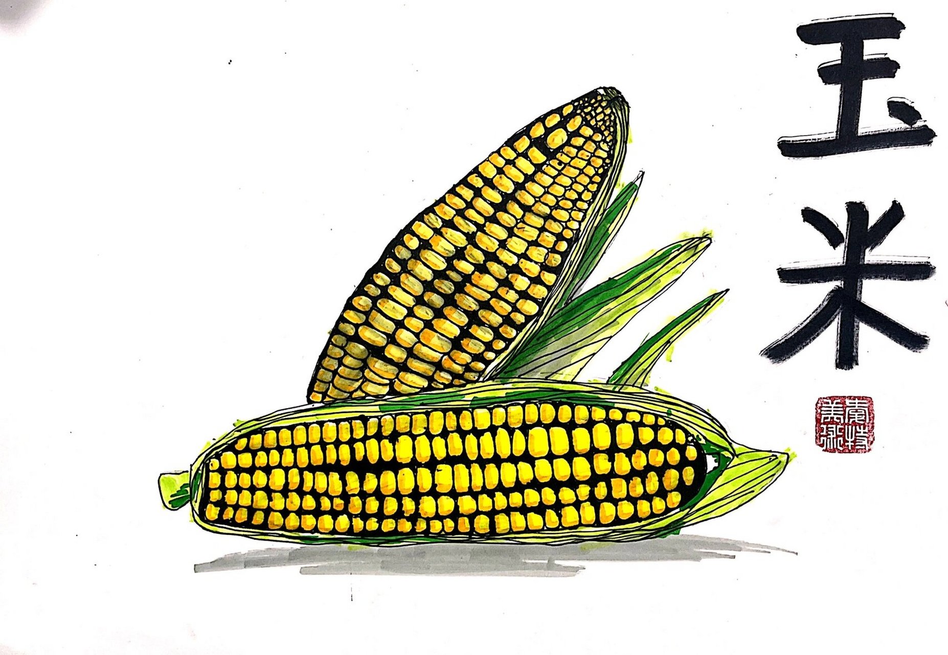 玉米写生 照片写生课程,三四年级学生作品