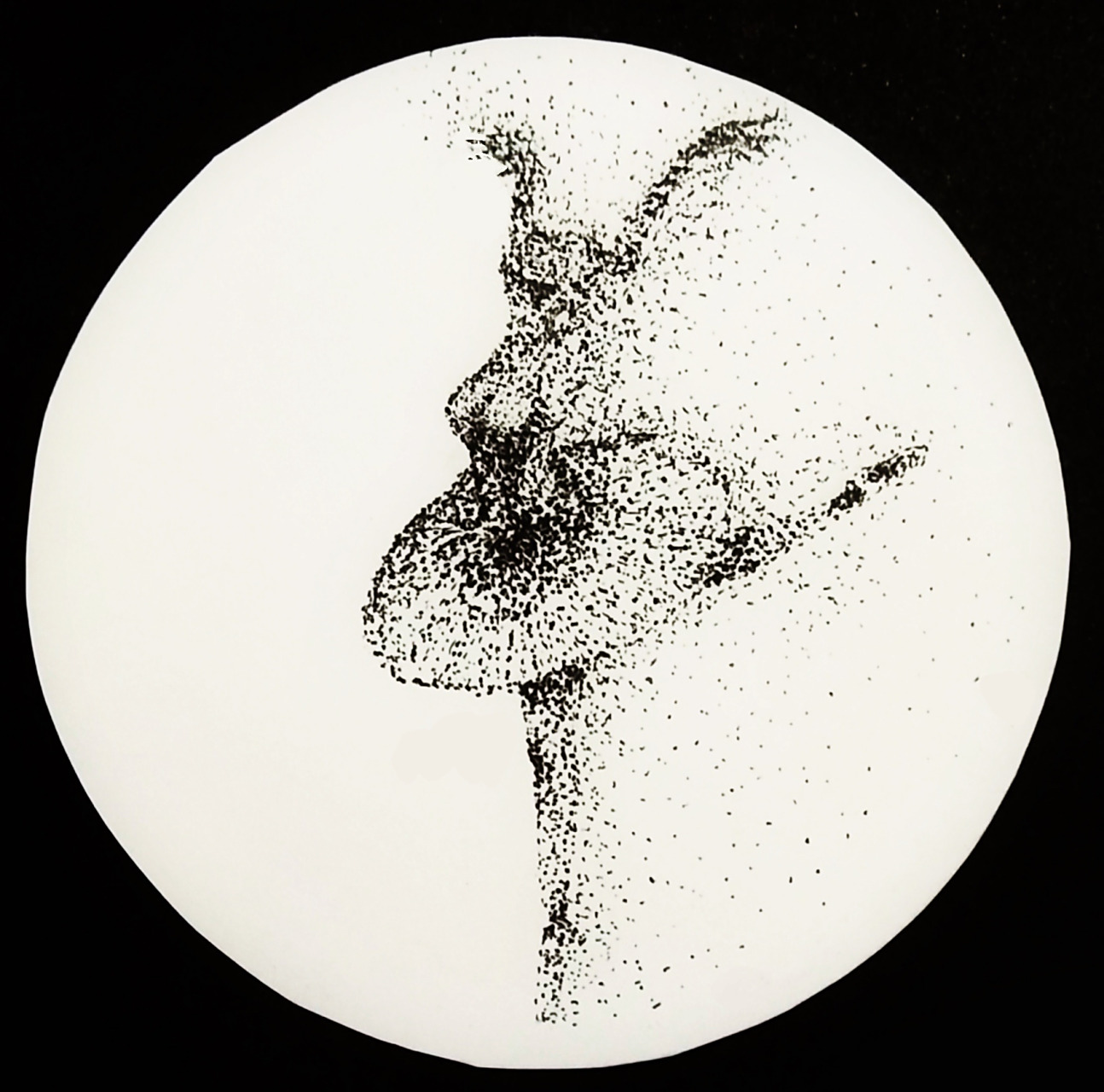 点线面构成 创意图形表现 课程:创意图形表现 作品:点线面构成 原创