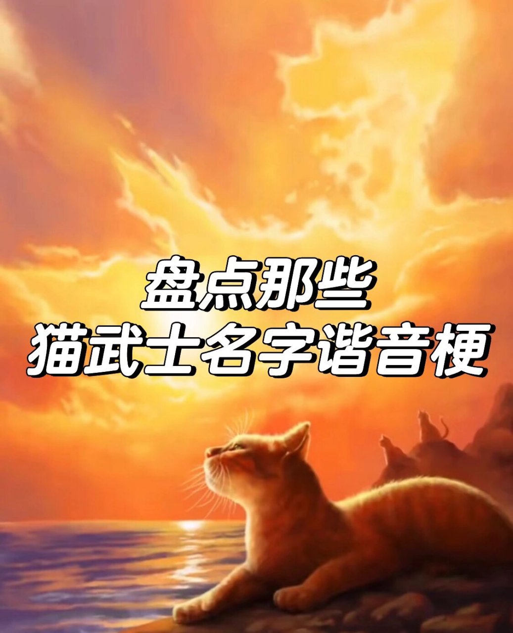 猫武士金雀花毛图片