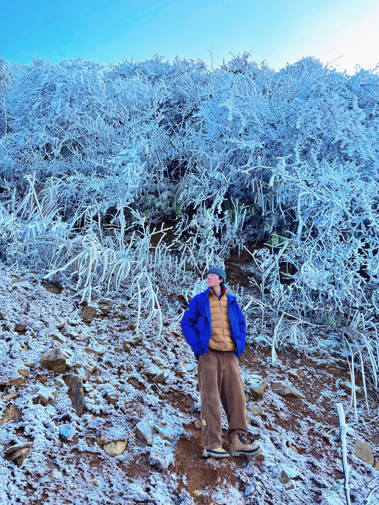 白竺青草湖雪景图片