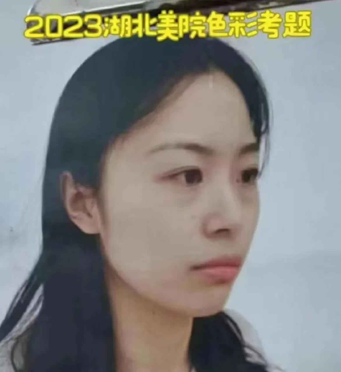 湖北美術學院於該校藏龍島校區啟動2023年校考.