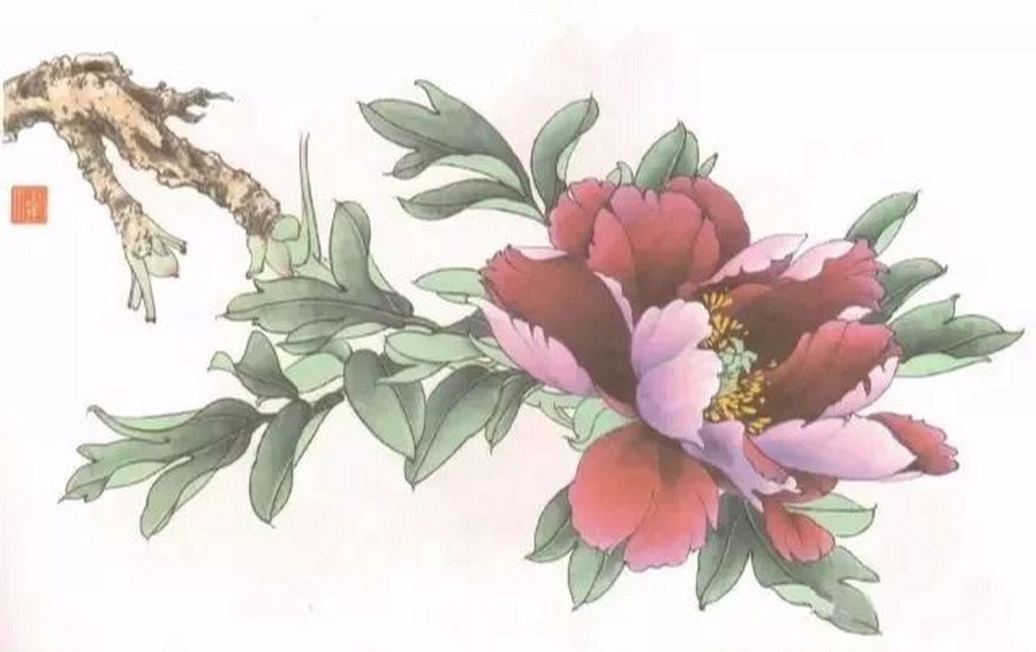 工笔画步骤分享(墨紫牡丹花头着色步骤) 1.重墨勾线. 2.用墨分染打底.