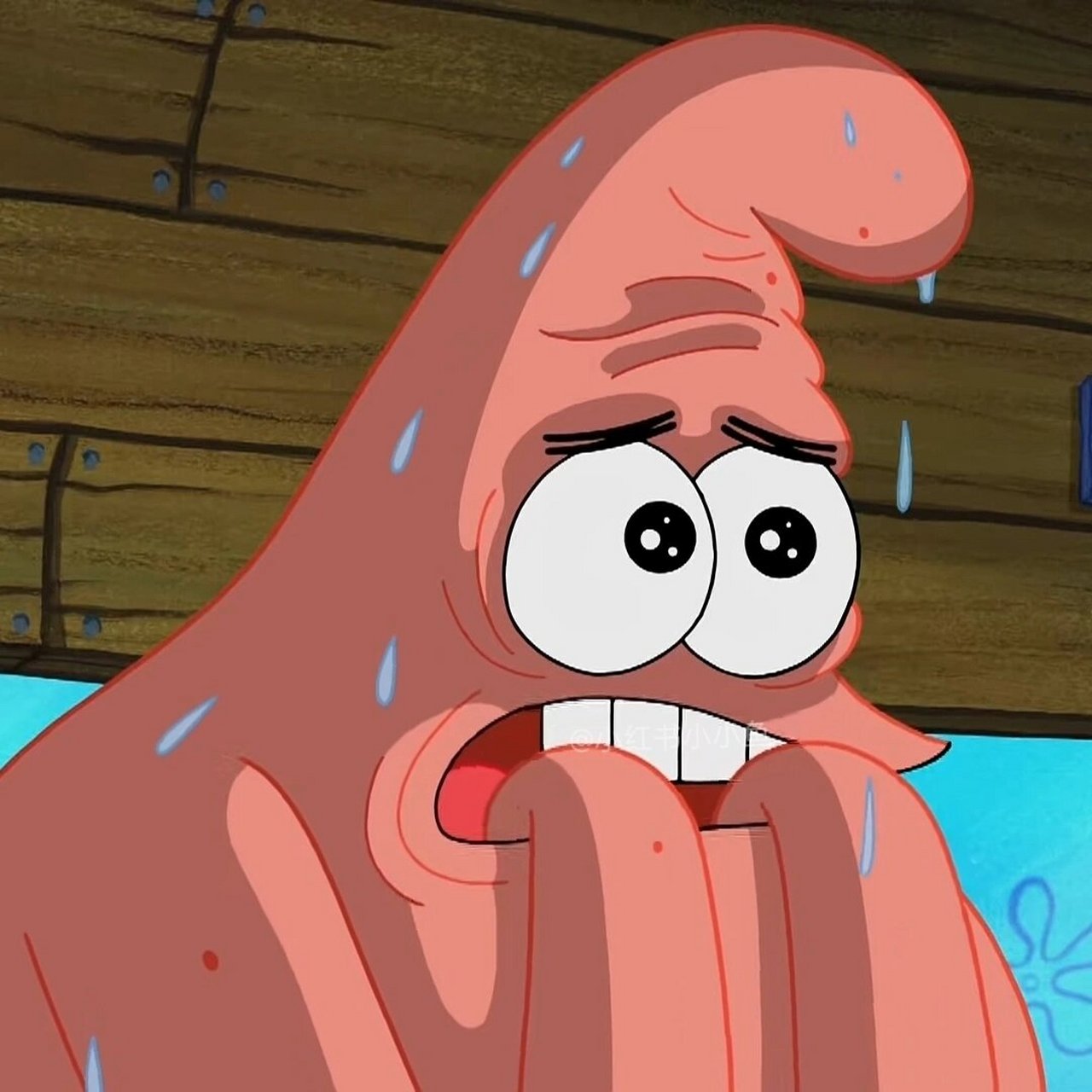 章鱼哥派大星搞笑表情包又来啦~每日一更