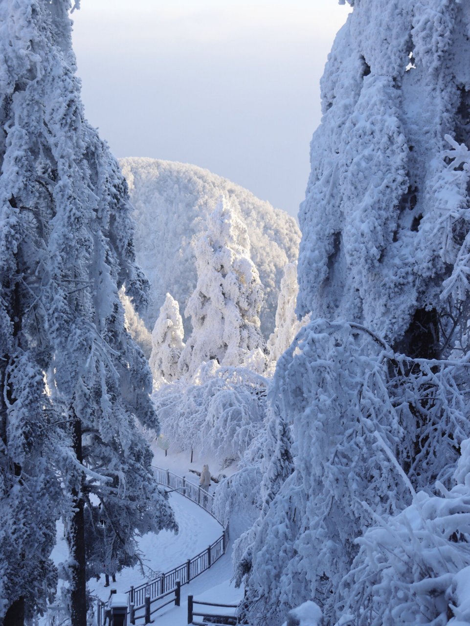 山上的雪景图片图片