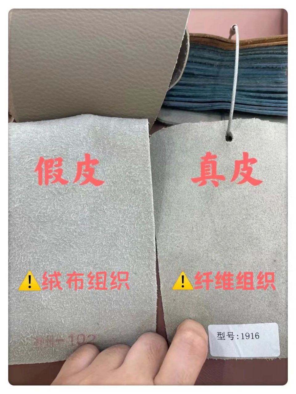 真皮假皮对照图片图片