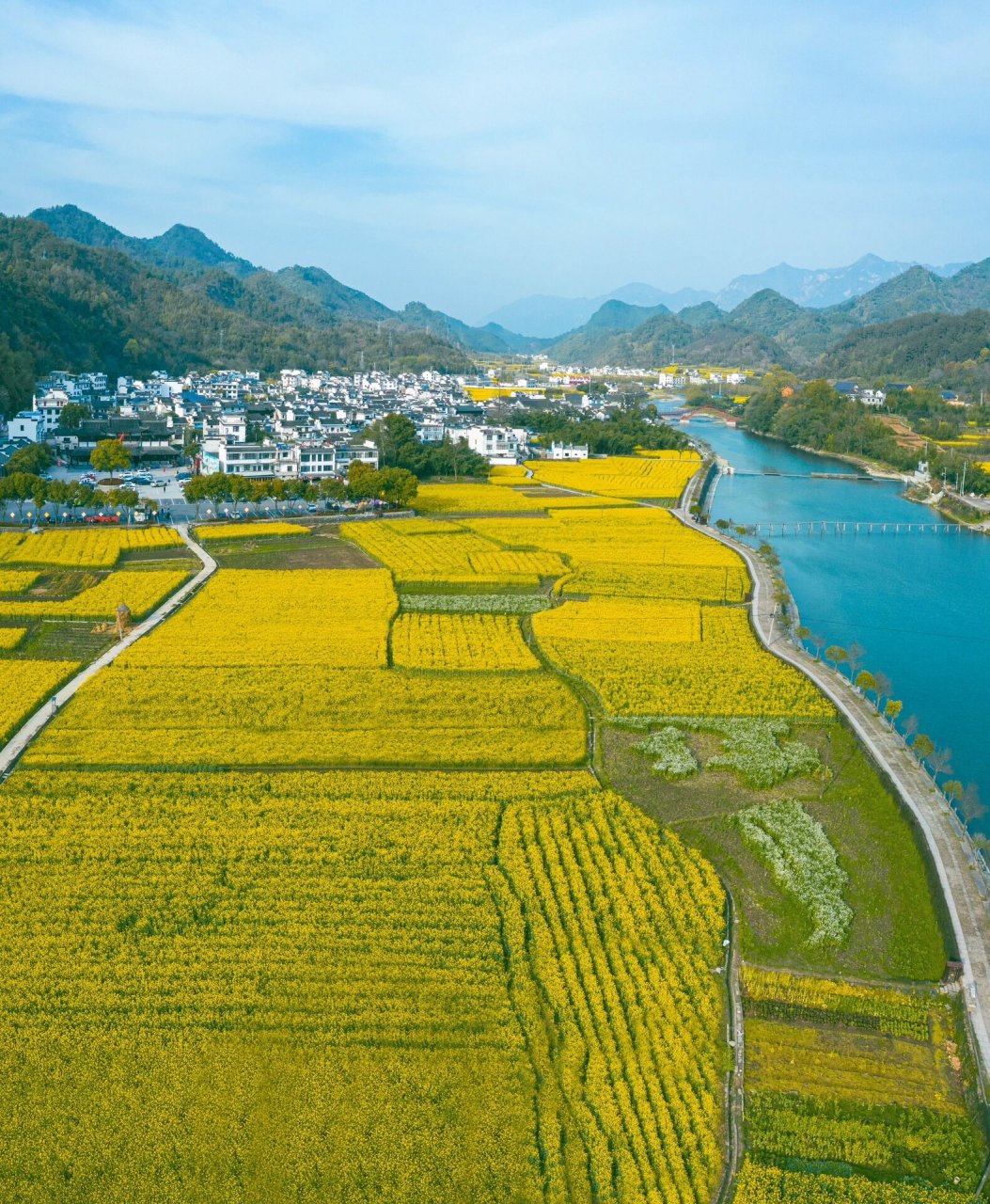 绩溪龙川油菜花 龙川的油菜花在皖南是不可错过的打卡点 停车9315