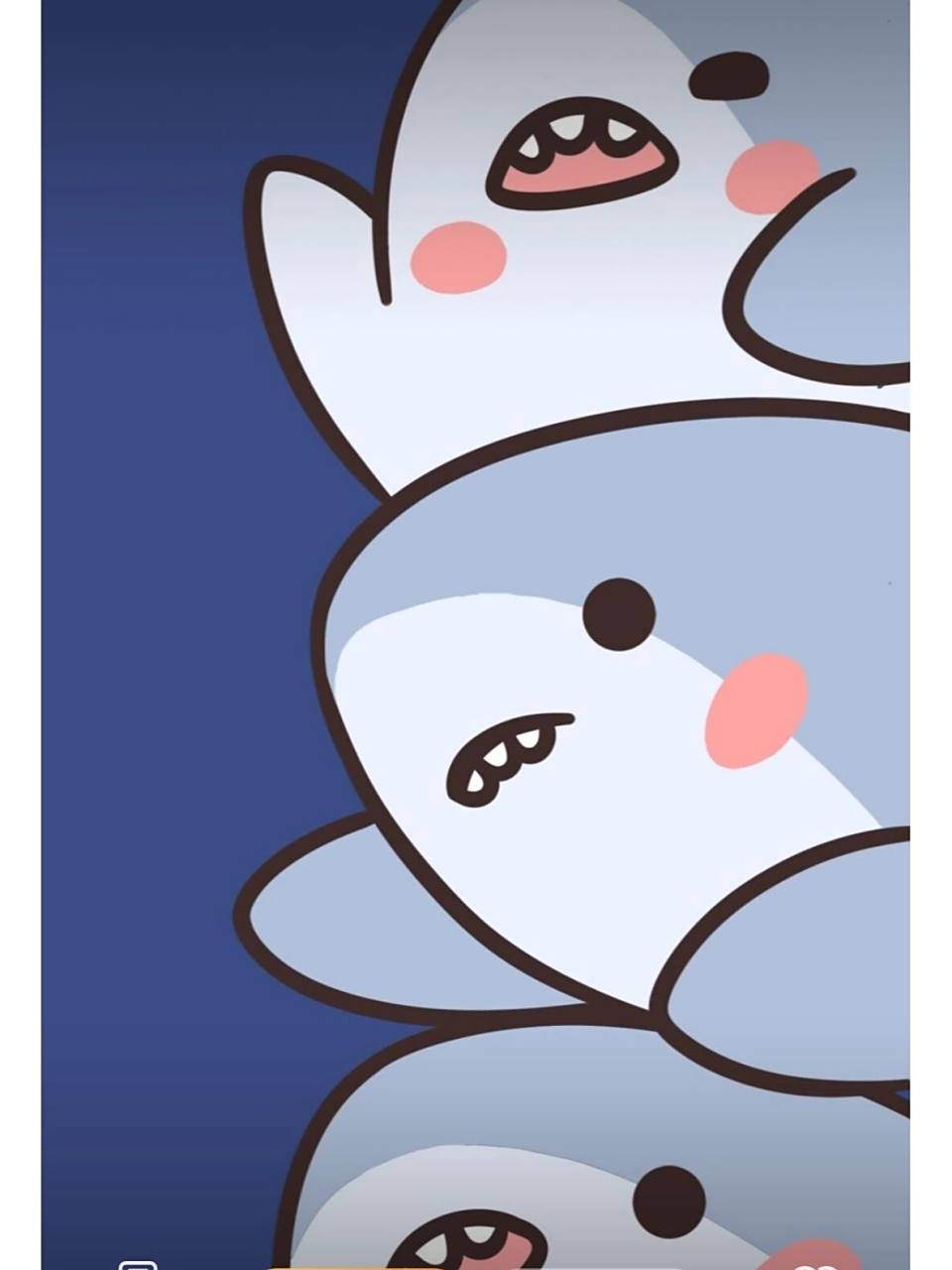 小鲨鱼壁纸③ #小鲨鱼壁纸