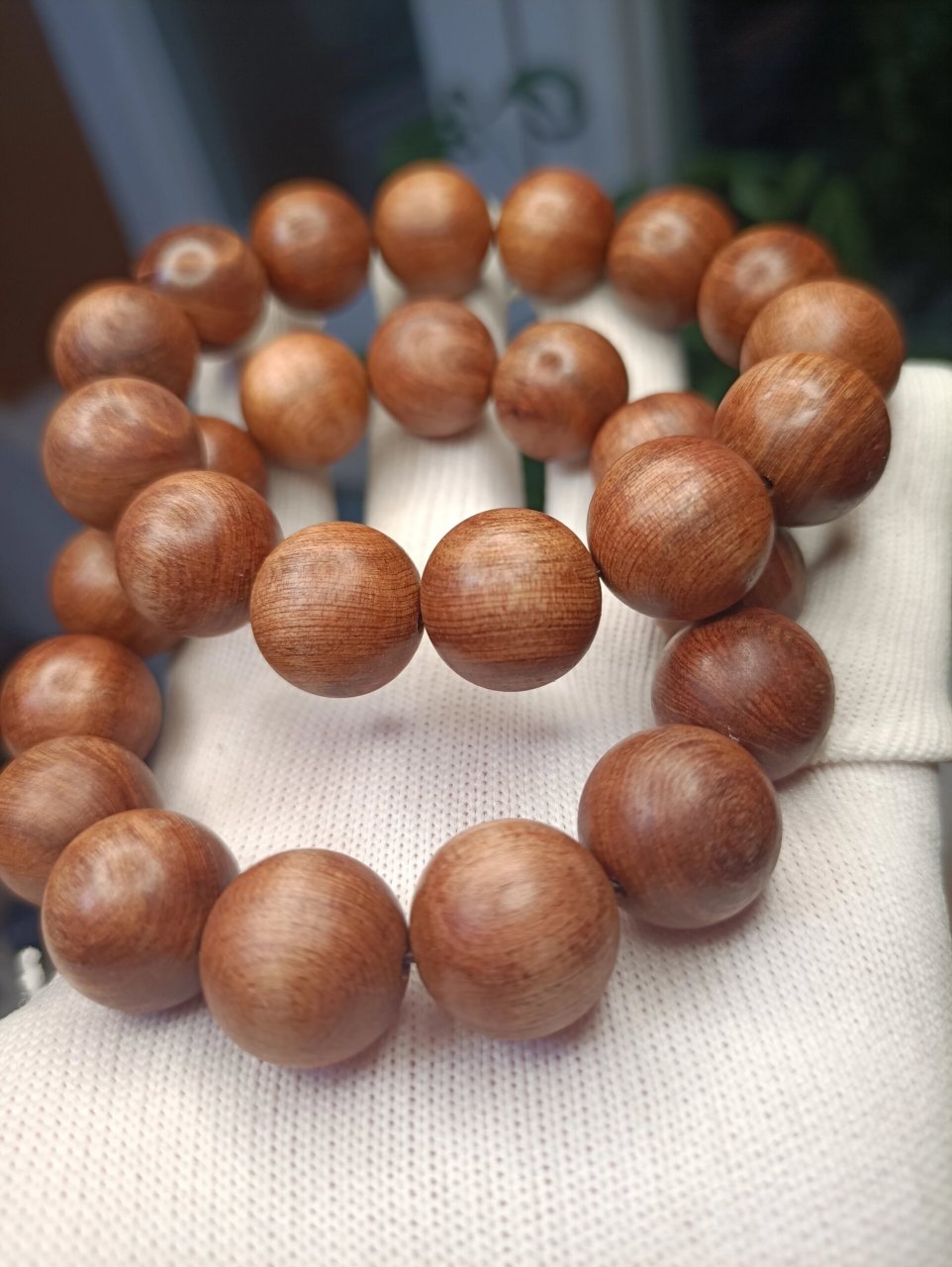 分享一个广西土沉香