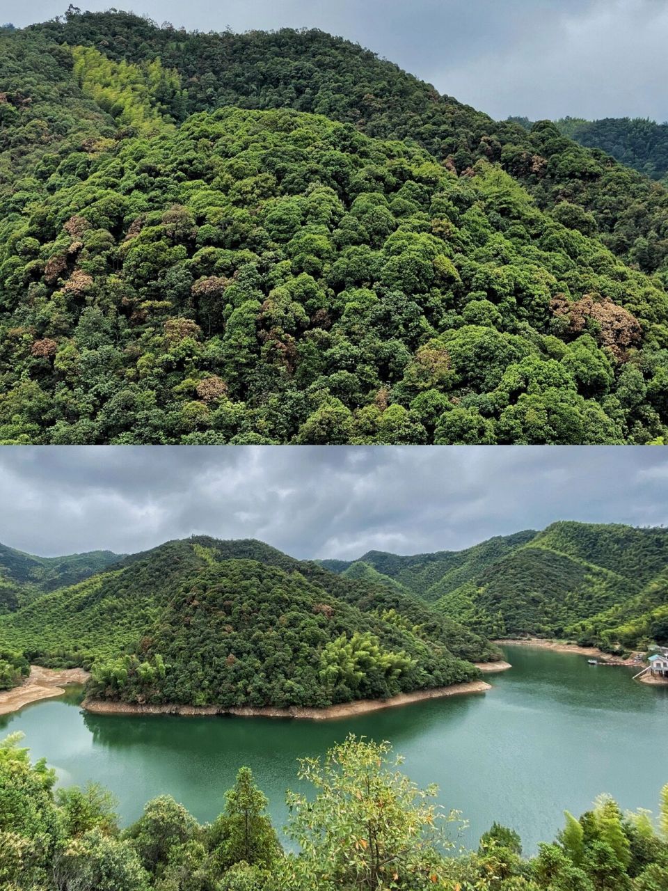 在杭州西部余杭黄湖镇有个青山村94,可能是最具隐世唯美又宁静的"