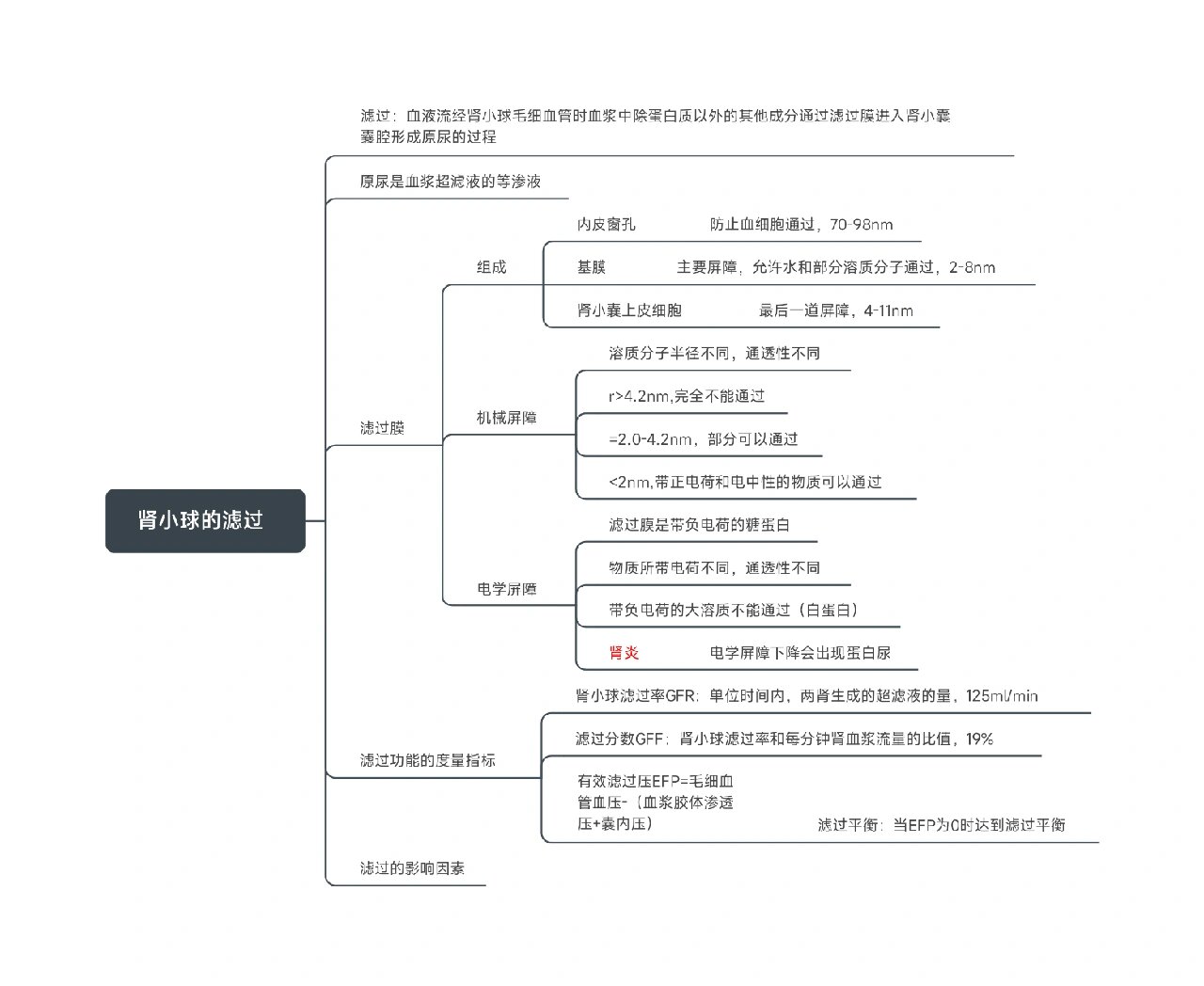 ✨生理学思维导图
