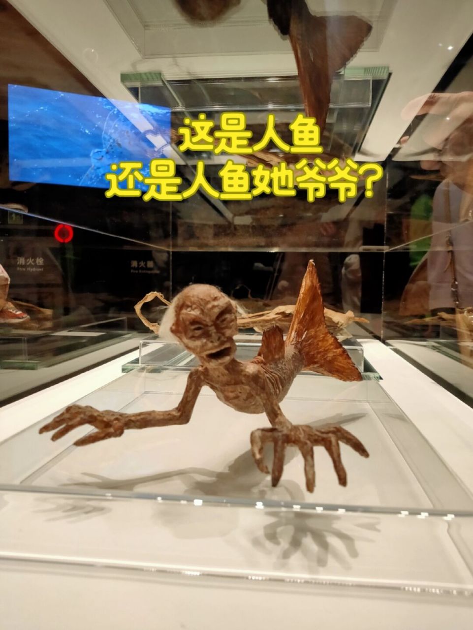 这是人鱼还是人鱼她爷爷😂 東所沢 角川武蔵野ミュージアム 值得待
