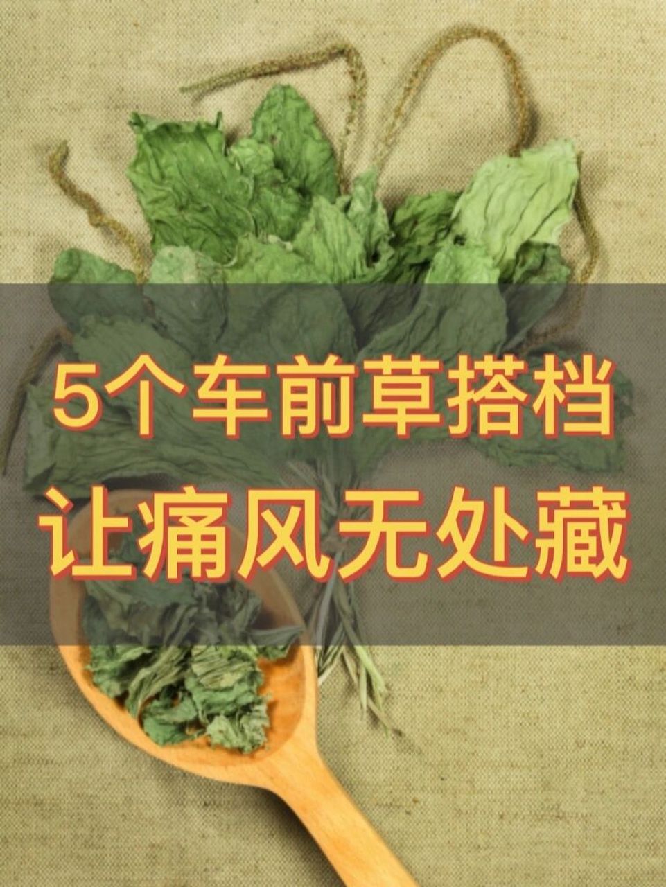 车前草的5个搭配,让你告别痛风高尿酸!