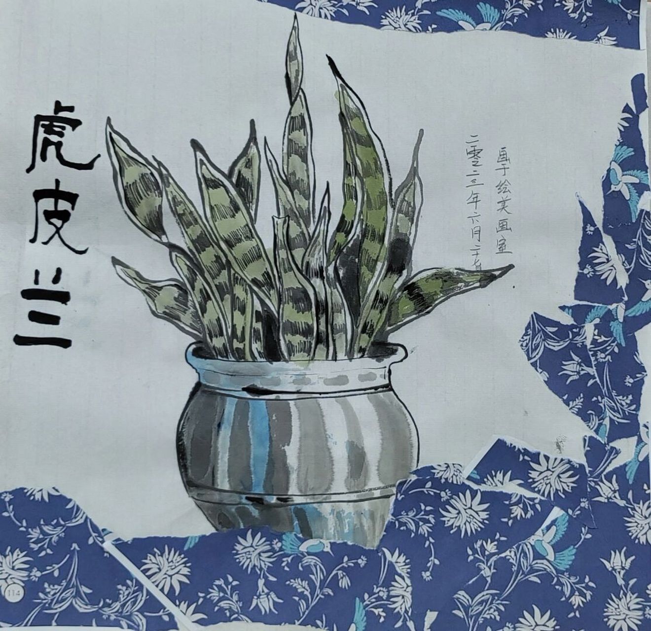 虎皮兰水墨写生美术课题一二年级 虎皮兰水墨写生 美术课题 一二年级