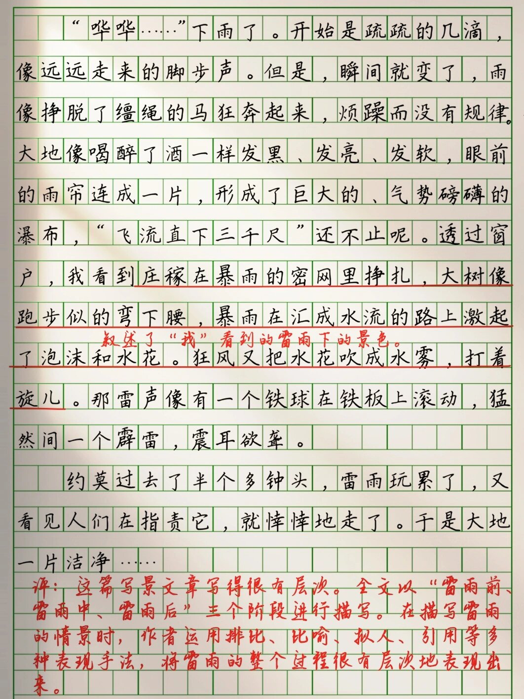 雷雨的作文怎么写100个字