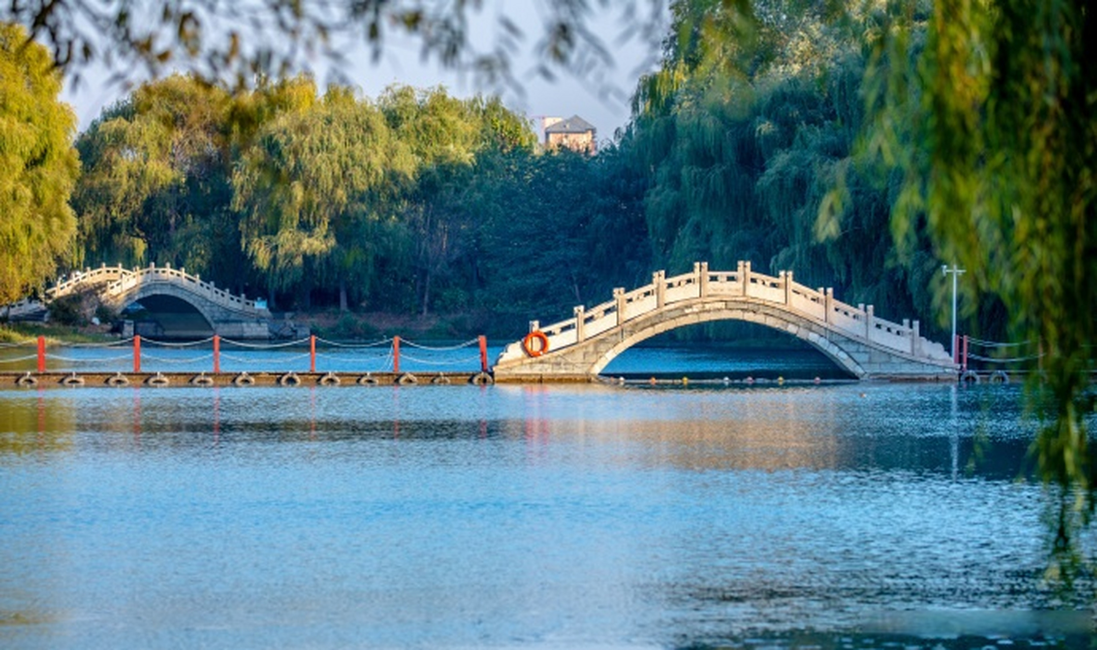 爱上济南的冬天##爱上这座城# 初冬的章丘眼明泉公园,阳光明媚,五彩