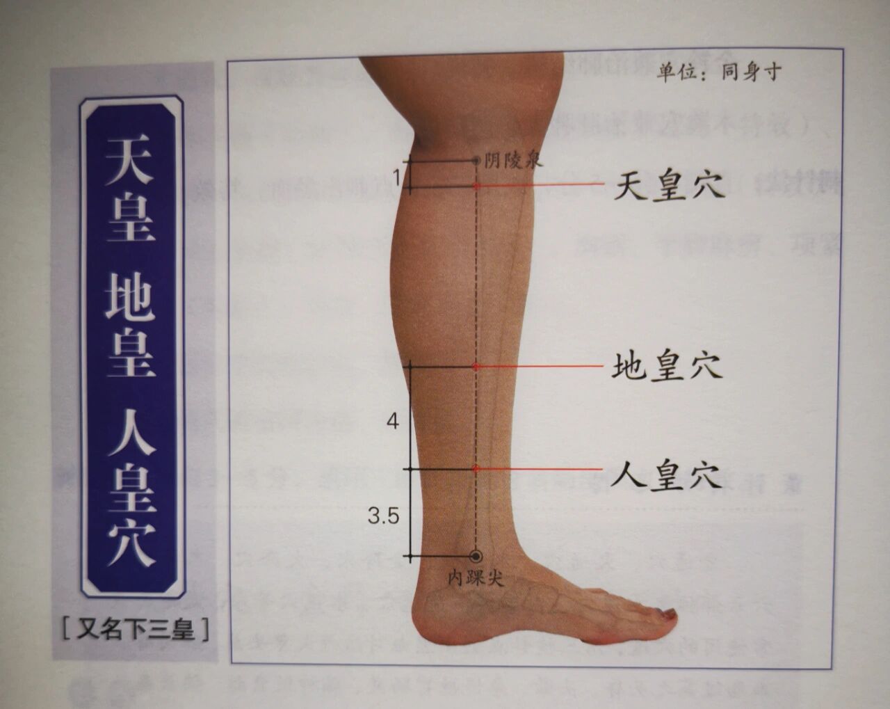 天皇穴准确位置图和作用