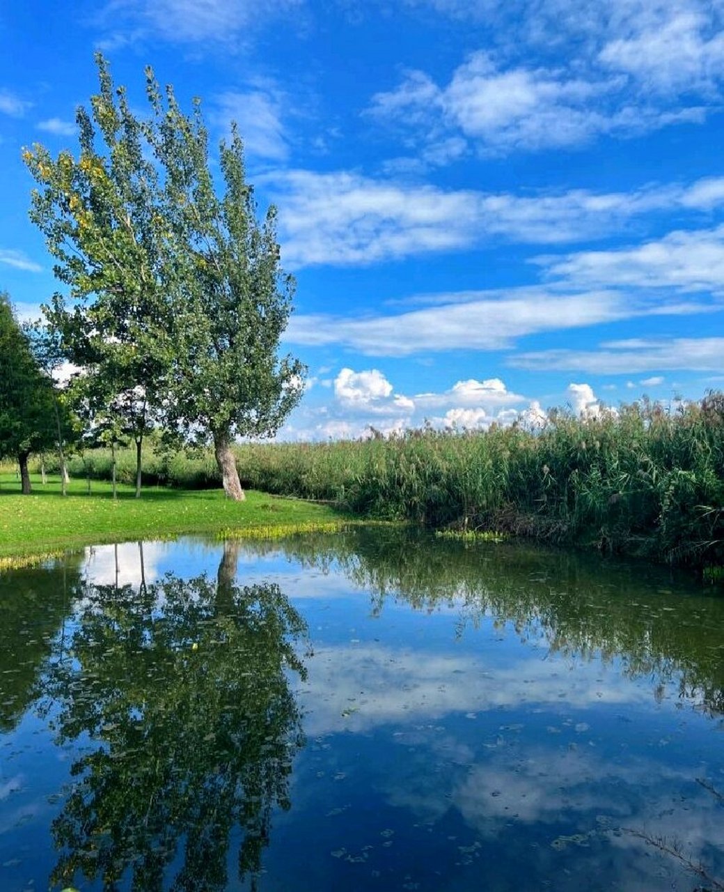 昆明环湖东路湿地公园图片