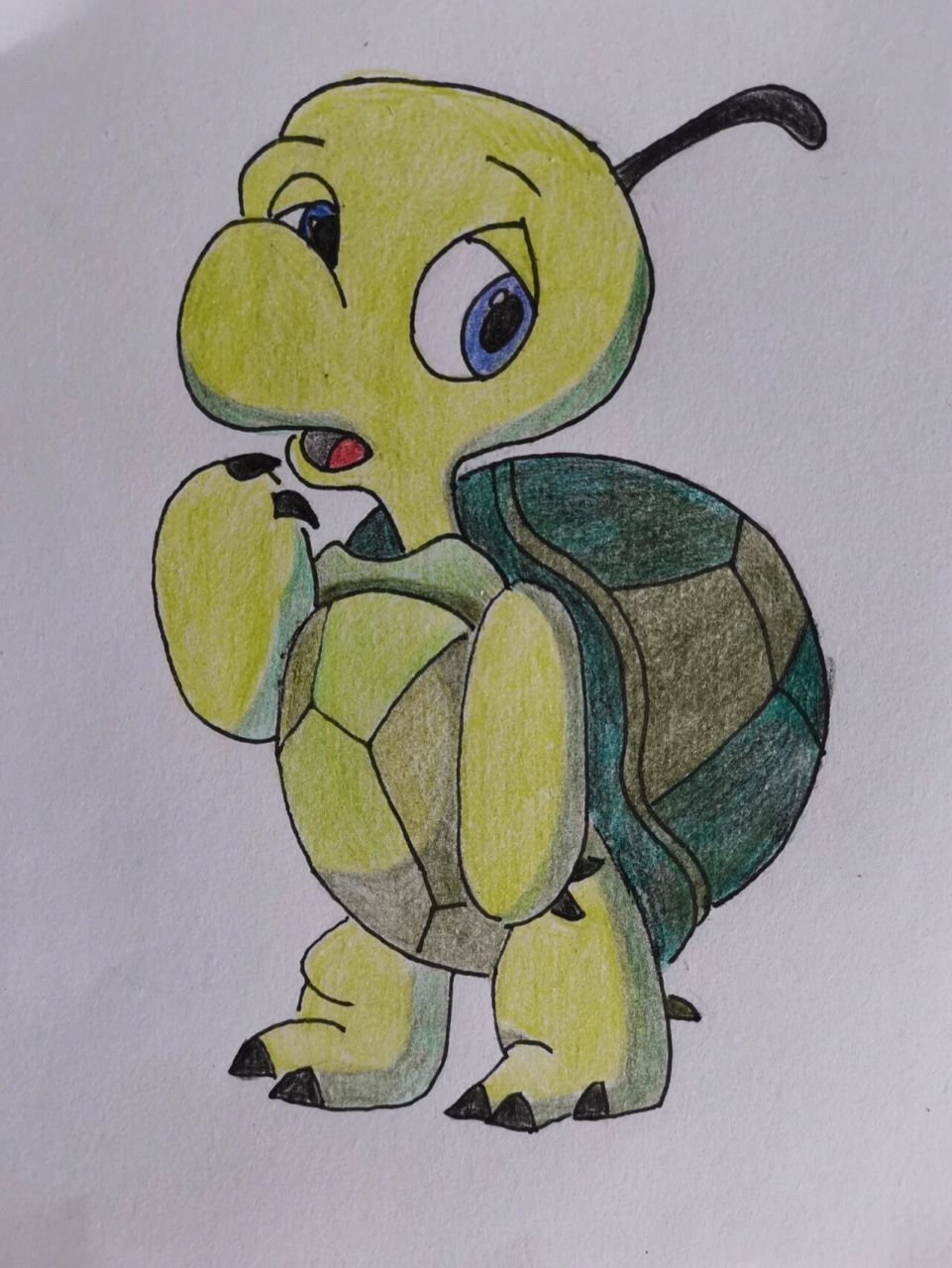 简笔画(17)跟我一起画双面龟