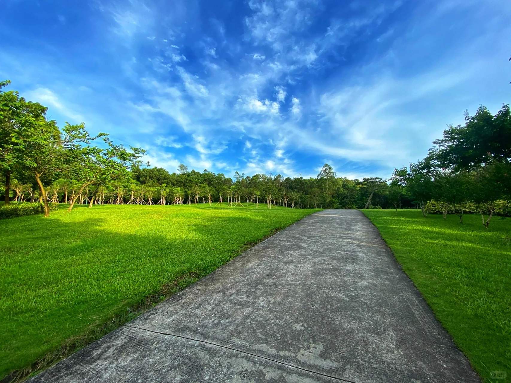 深圳龙岗 大运公园 藏在大自然公园湖畔的独栋书吧咖啡厅 很平价 很
