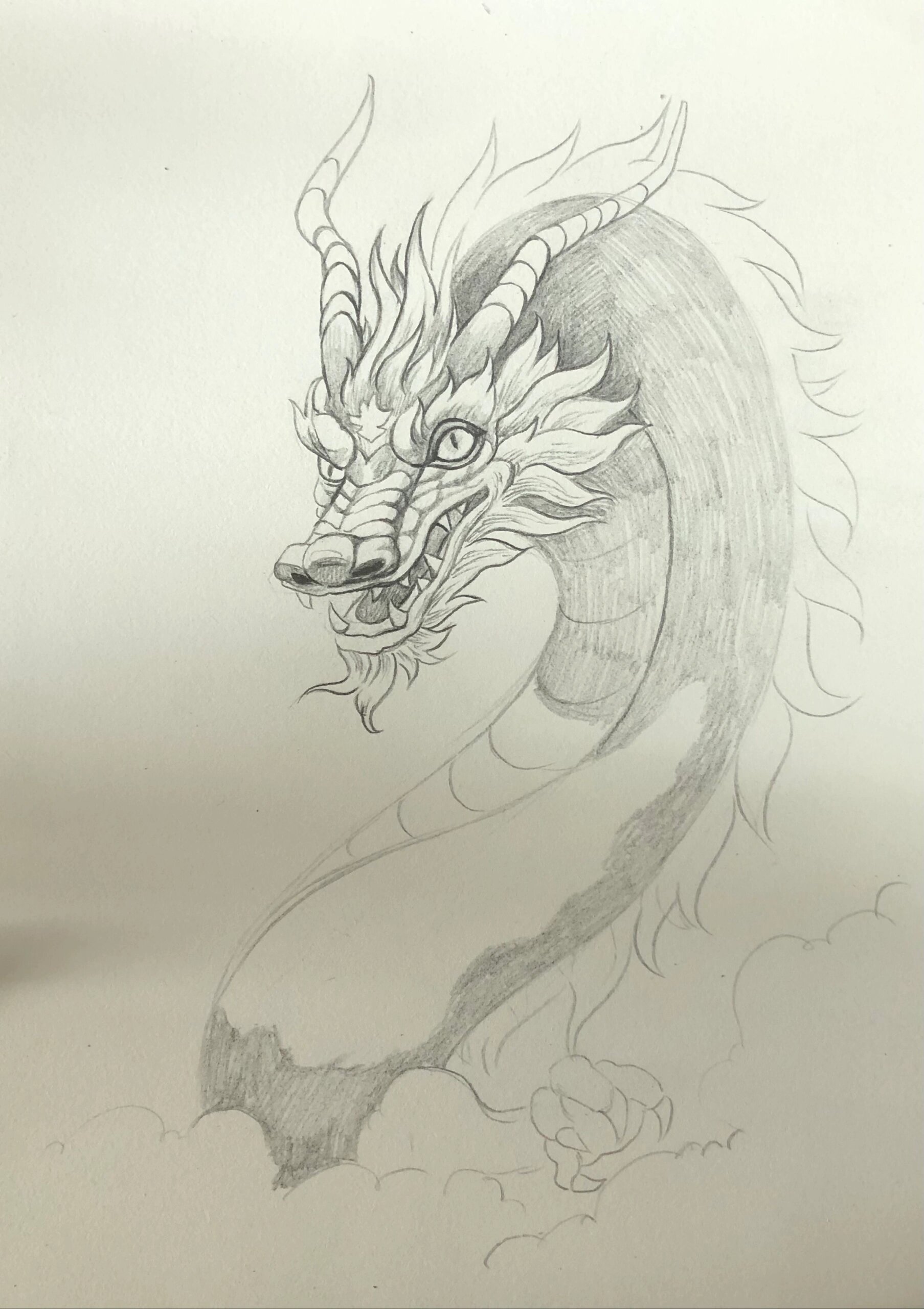 儿童创意素描《龙》龙年贺新春