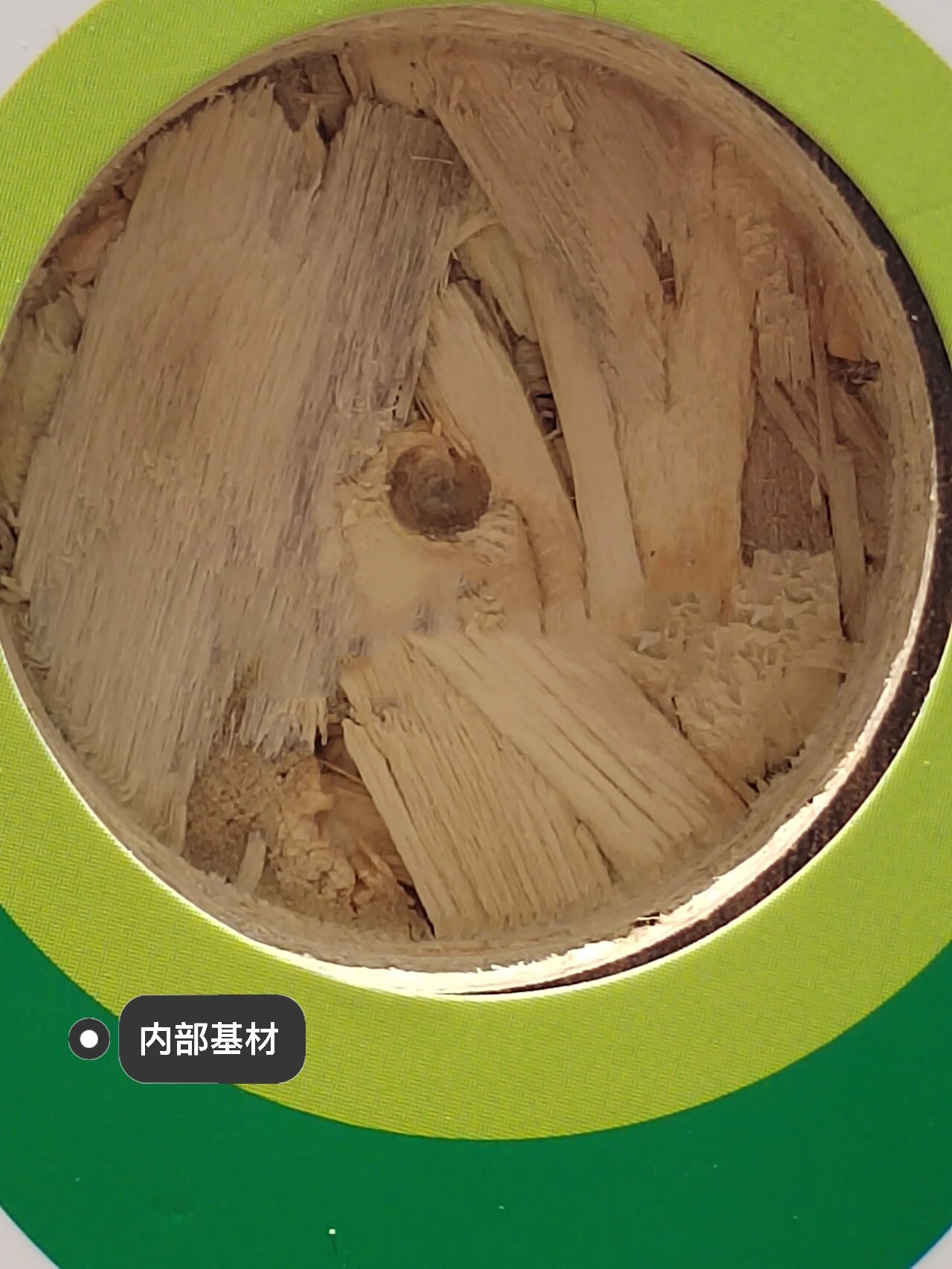 千年舟澳松板,出道即巅峰,性价比超高!