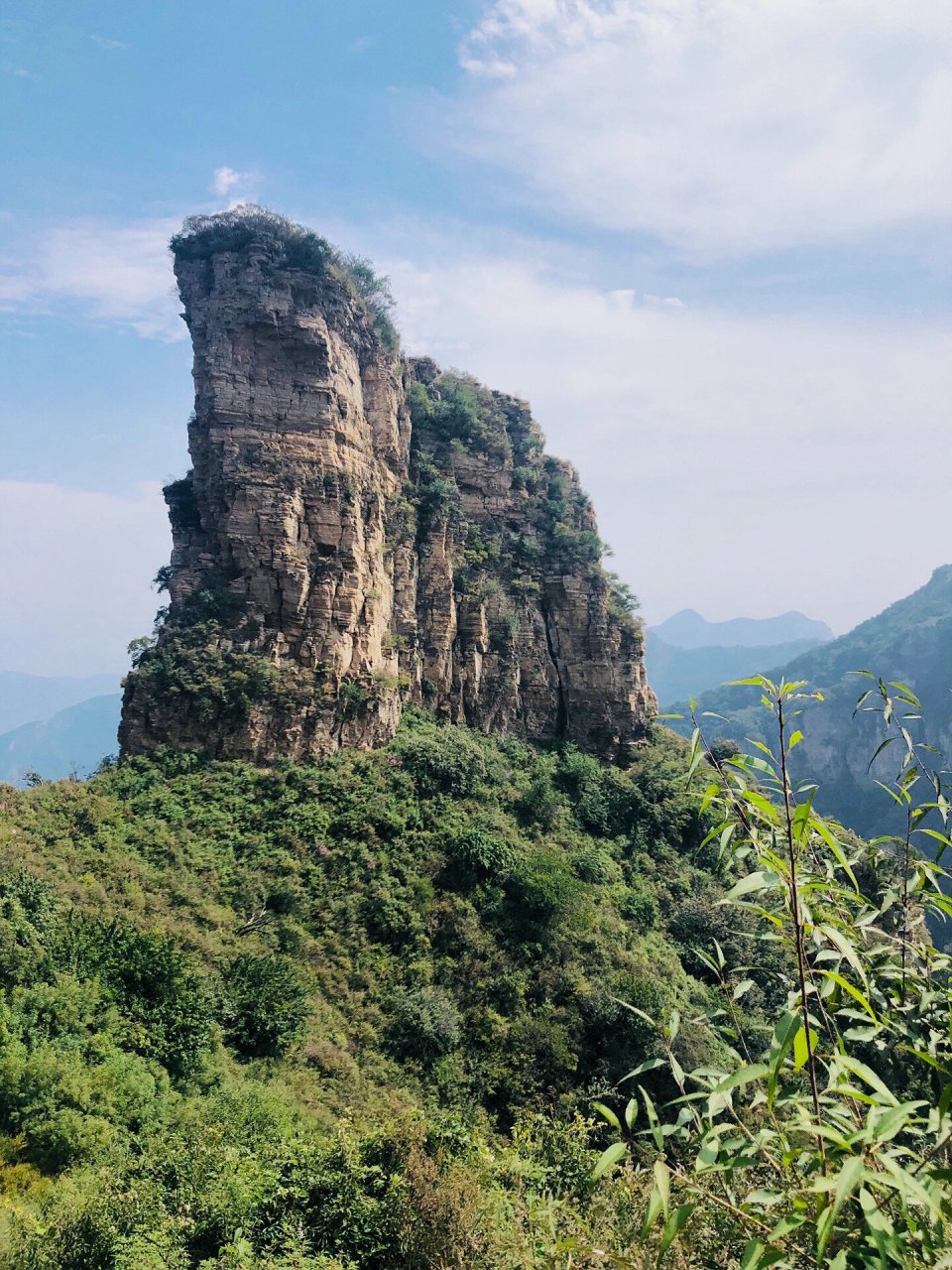 青山棺材山图片