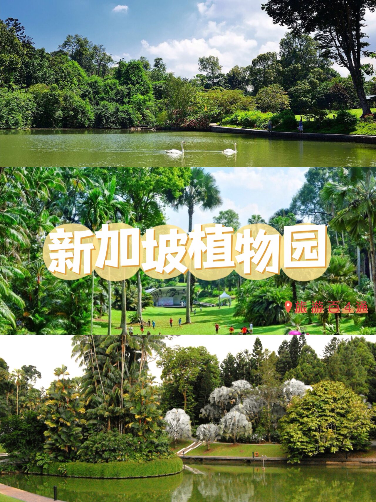 游览90新加坡植物园 90新加坡植物园是首个联合国教科文组织世界