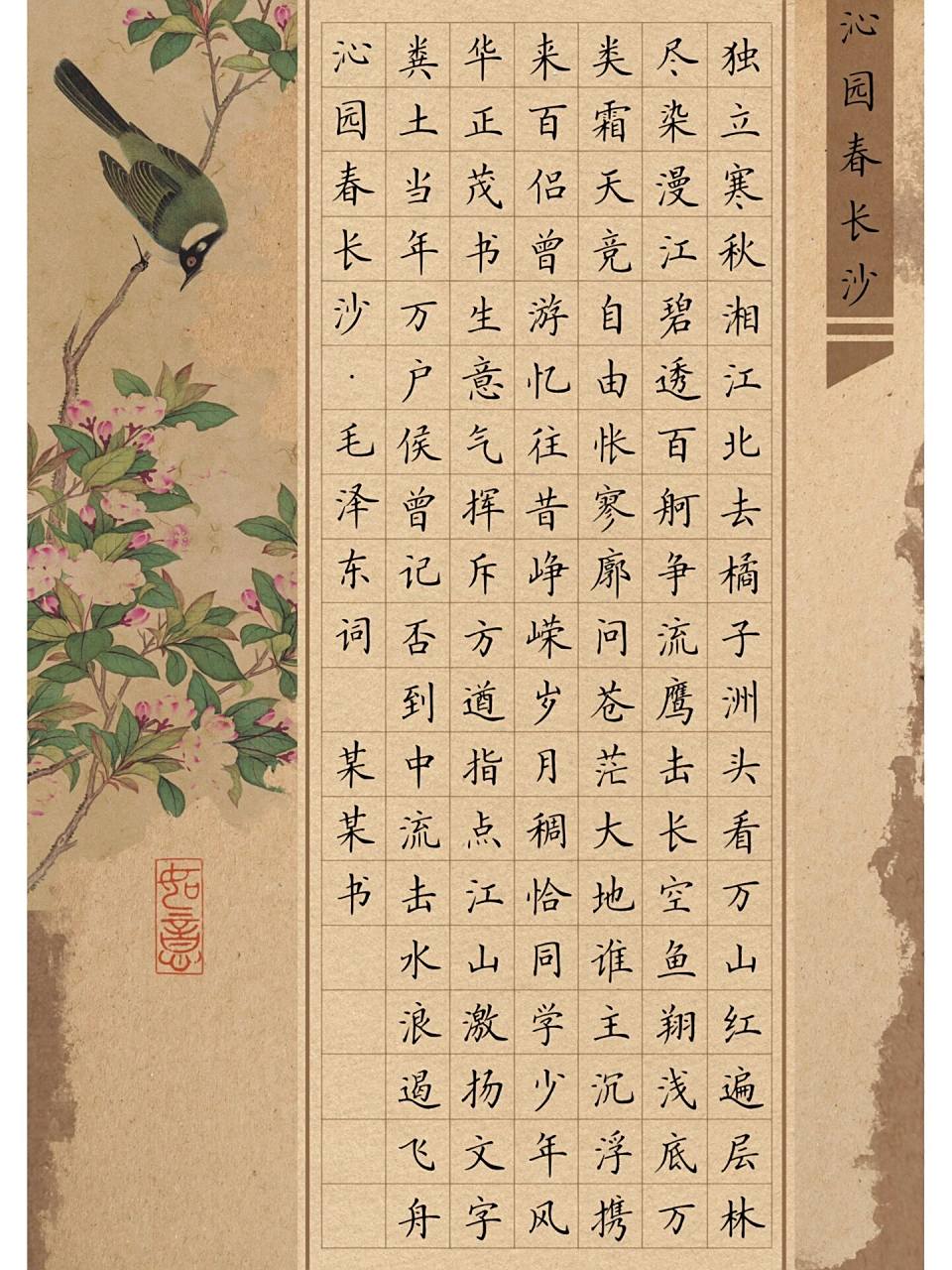 古风硬笔书法作品纸|153格《沁园春·长沙》 规格:方格1.