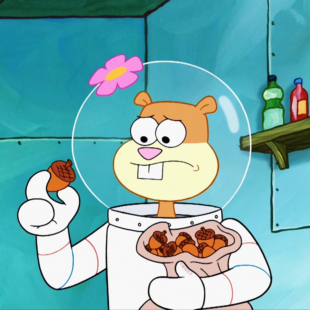 珊迪头像合集26615