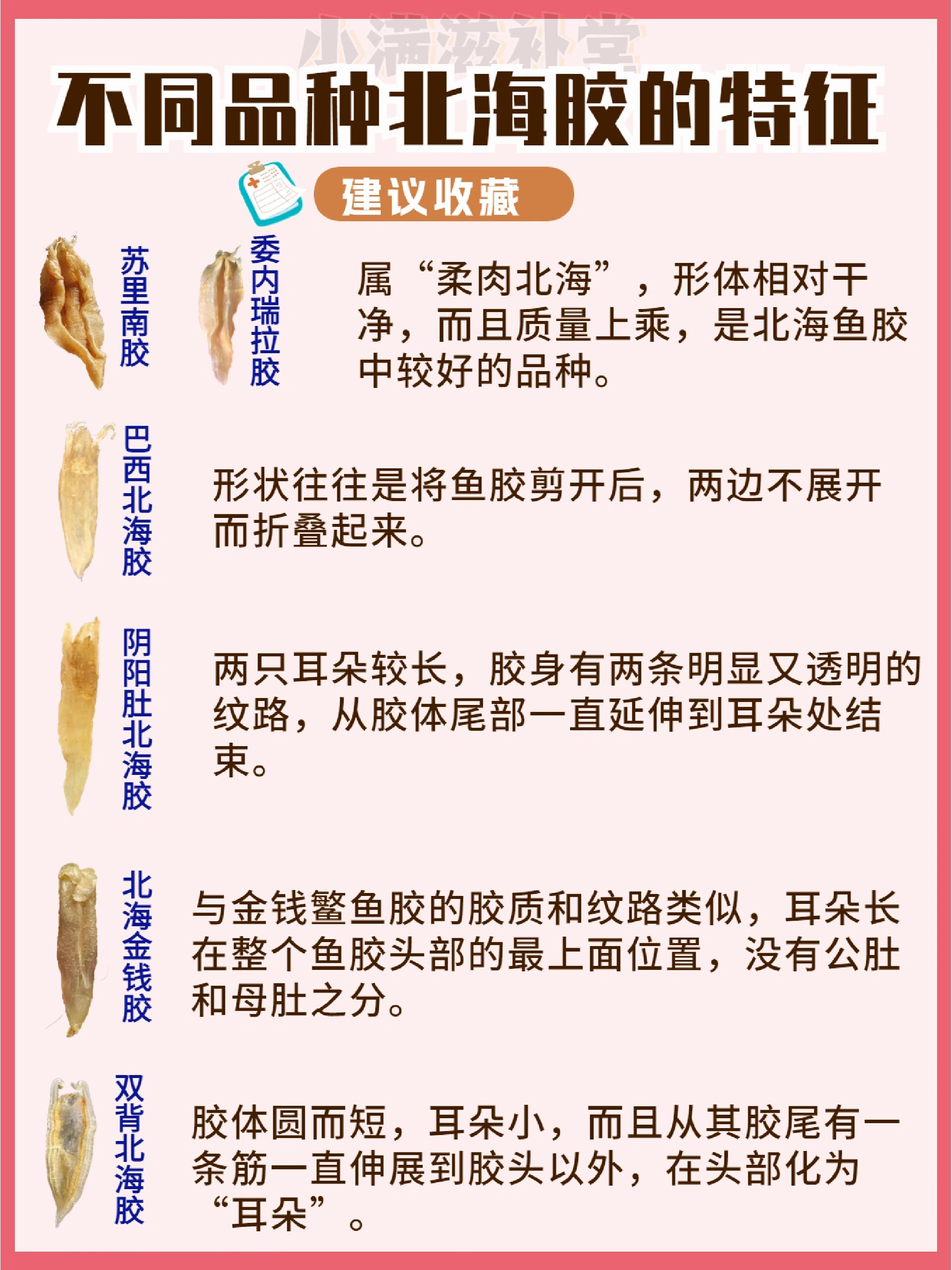 鱼胶知识#北海鱼胶的种类你认全了吗75 北海胶的主要来自南美洲附近