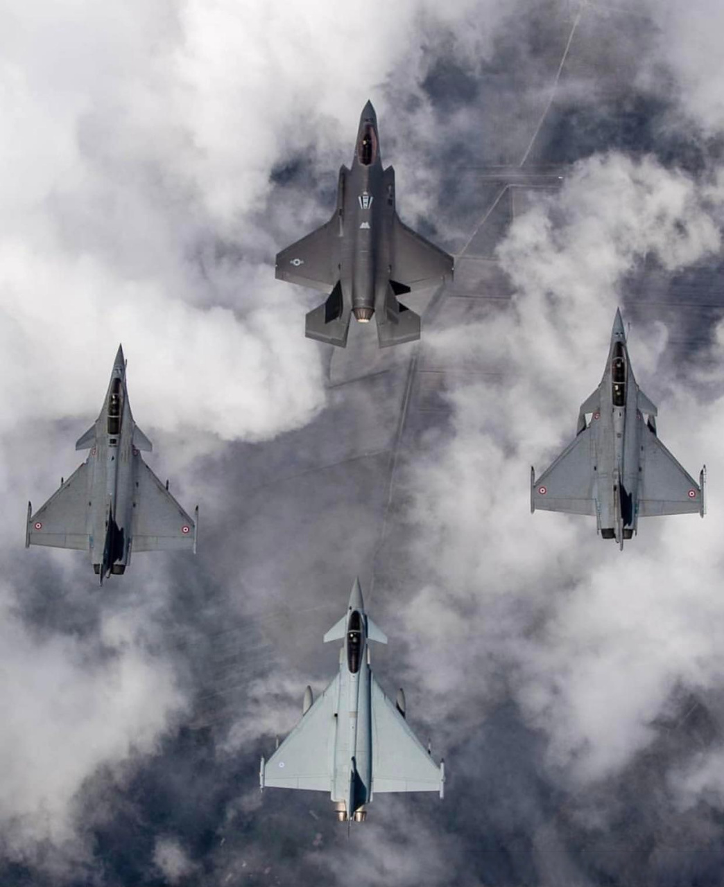 a胖 阵风 台风尺寸对比