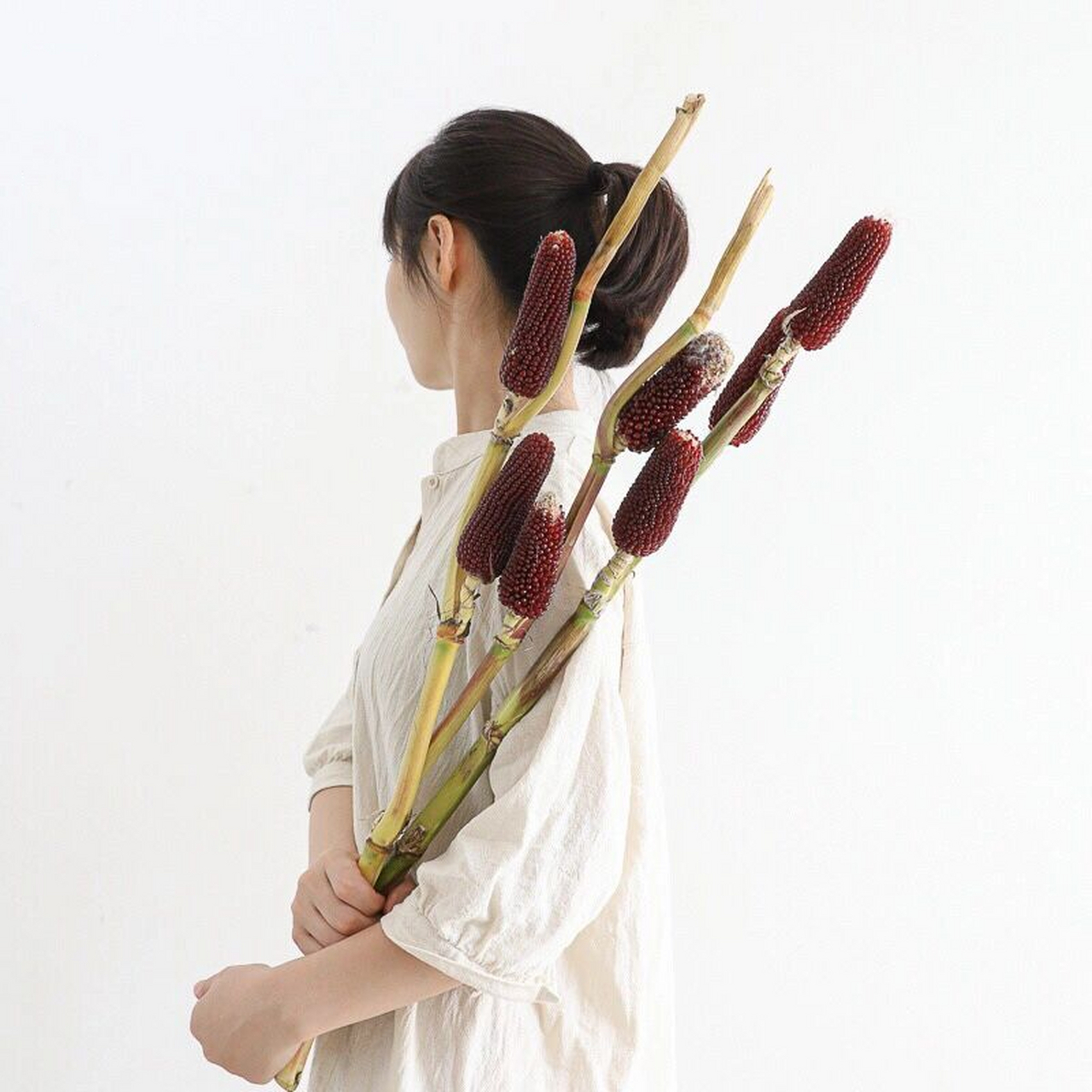 小众观赏玉米花束 没想到玉米也可以是花材吧?