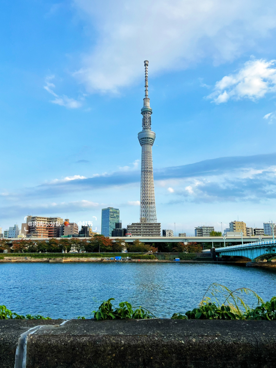 日本晴空塔简笔画图片