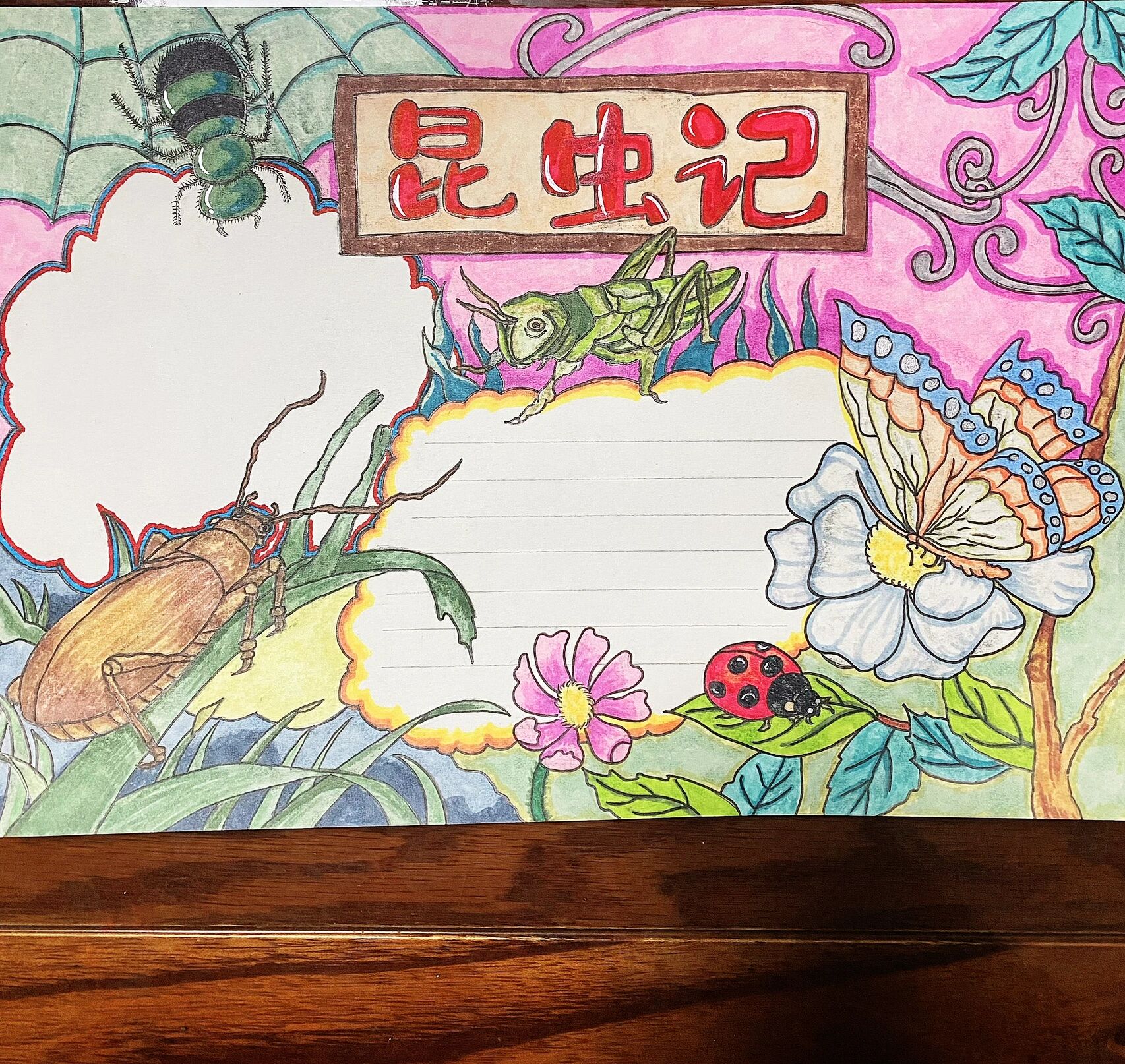 《昆虫记》手抄报
