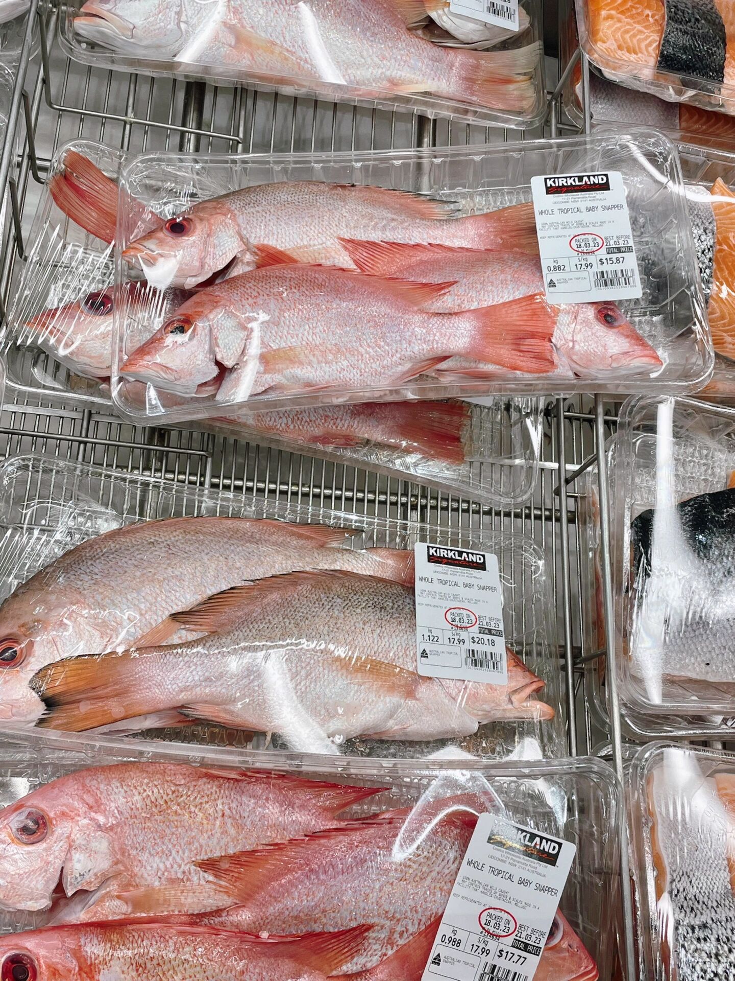 红鲷鱼 snapper  costco有款野生红鲷鱼,肉质鲜嫩q弹,怎么煮都不焕舷