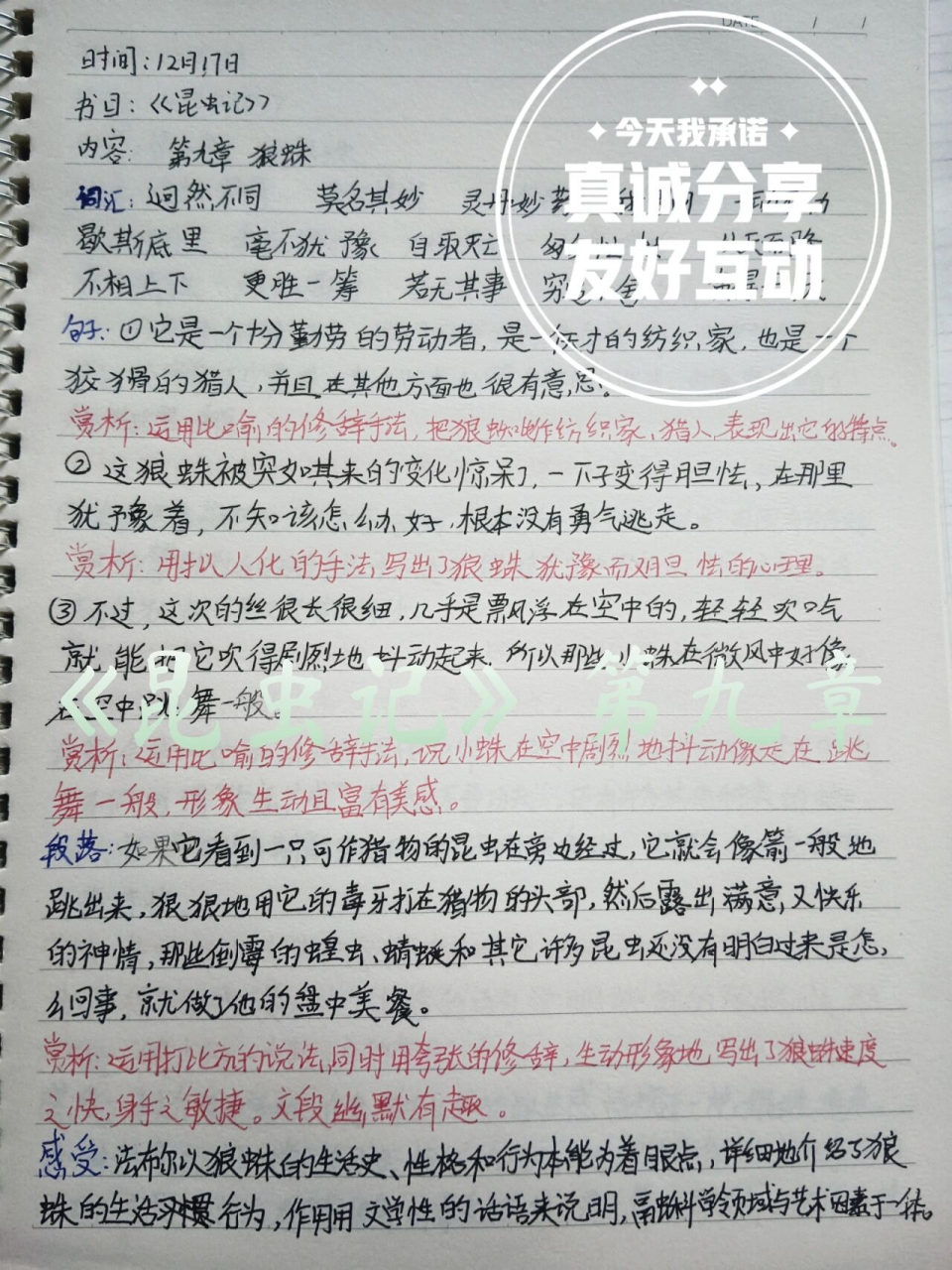 《昆虫记》读书笔记第九章 早上好!