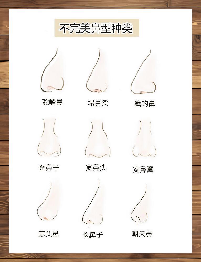 九类不完美鼻型概览