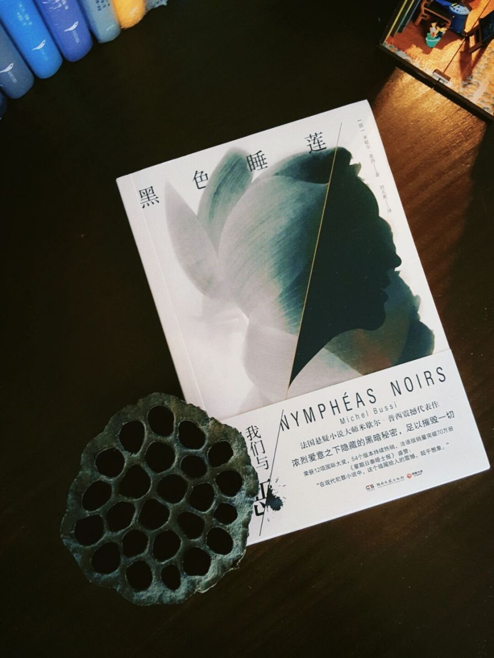 浓烈爱意之下隐藏的黑色秘密95 98《黑色睡莲》 98作者  米歇尔