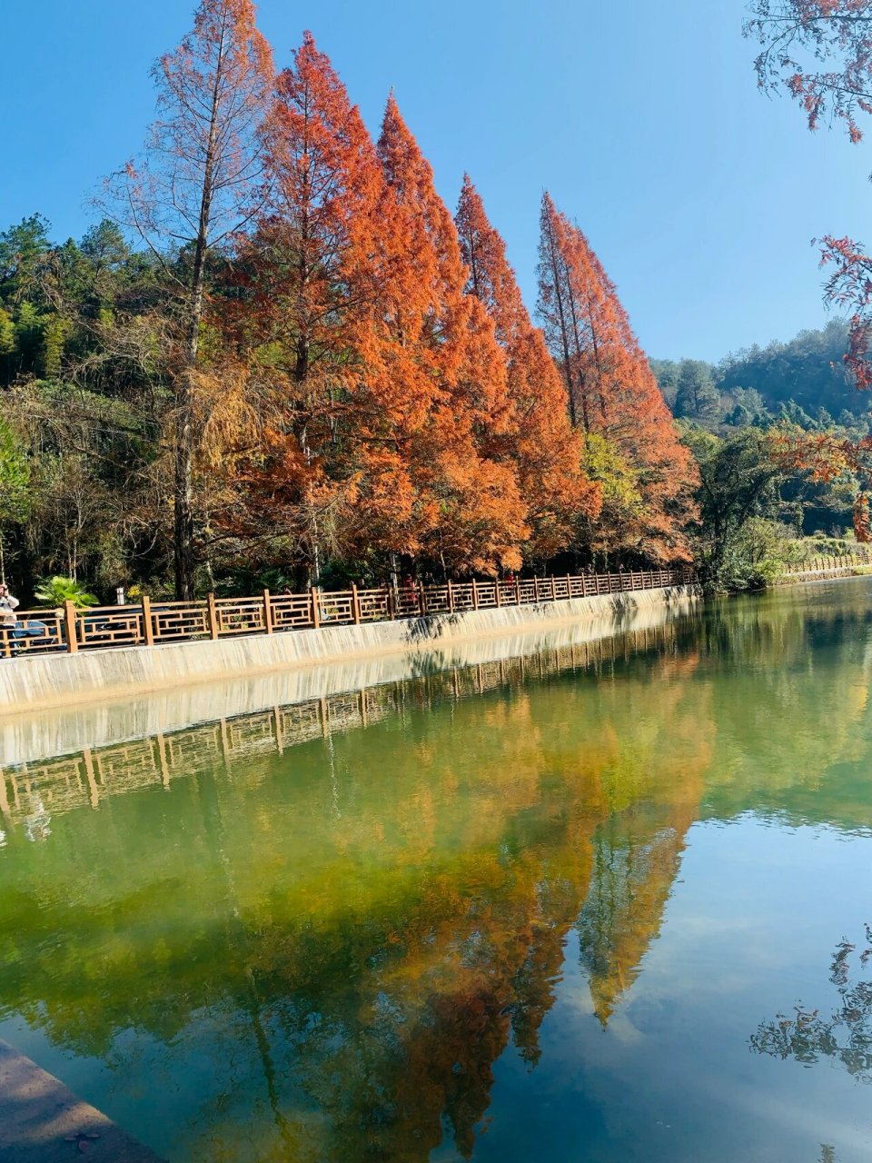 将乐龙栖山自然保护区图片