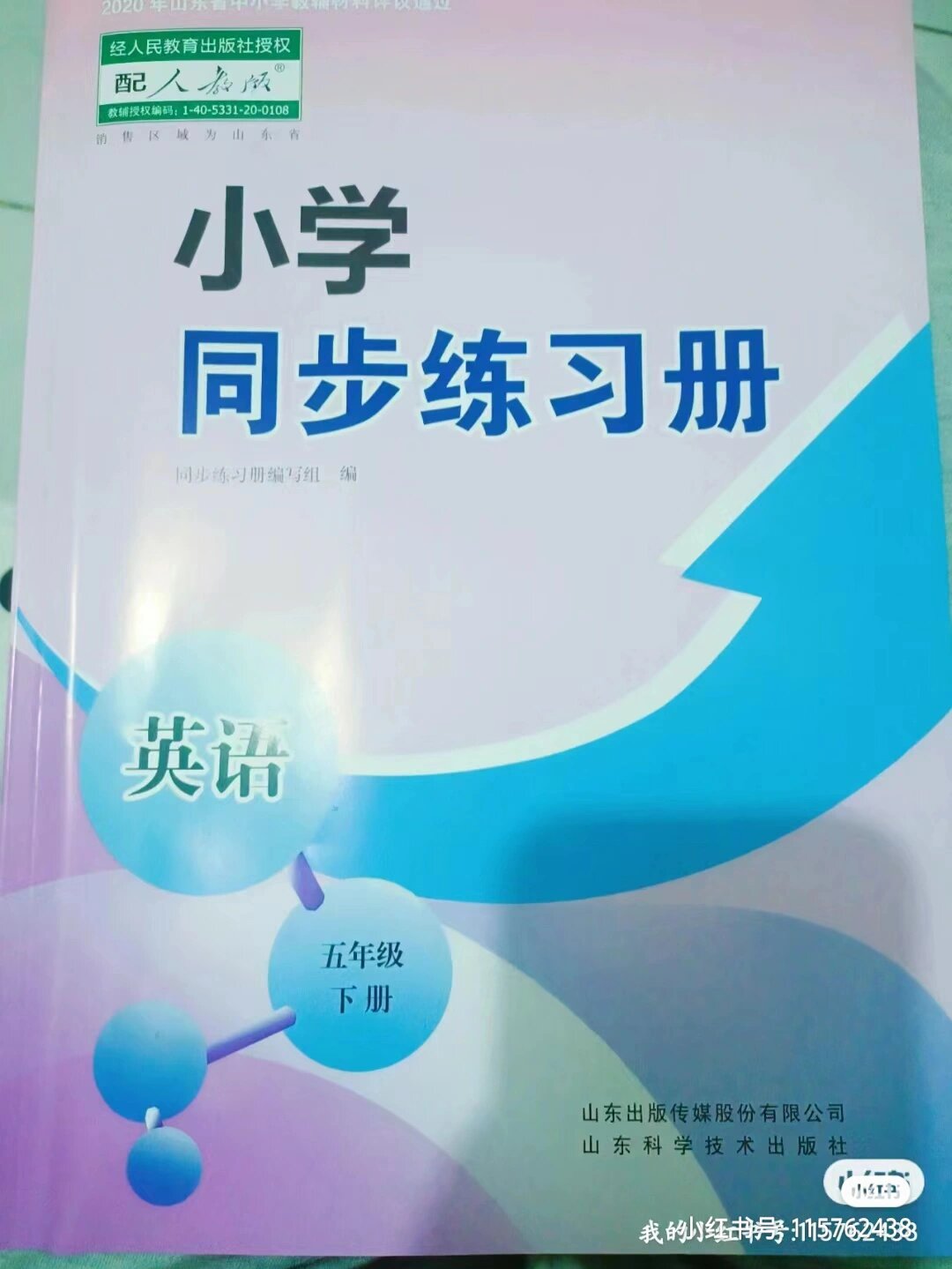 五年级下册英语同步练习册答案人教版