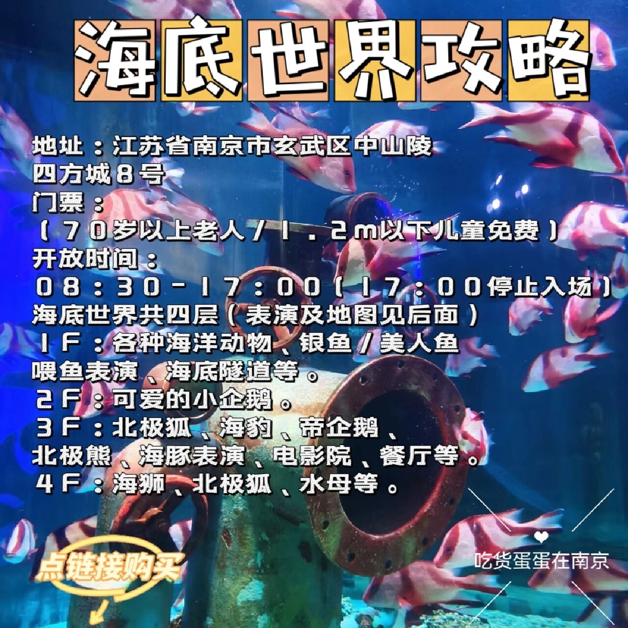 南京海底世界攻略来啦含表演时间地图