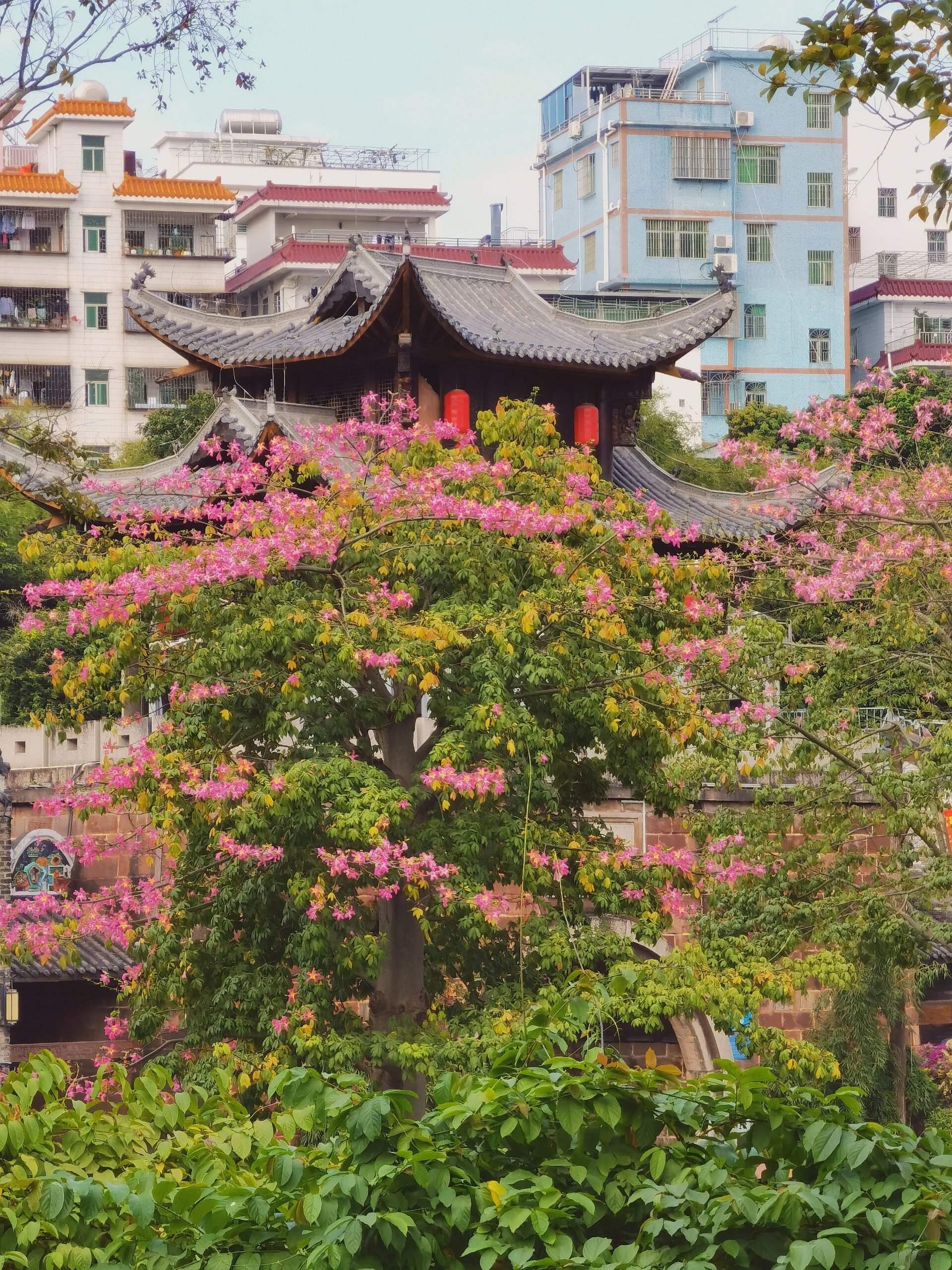 甘坑客家小镇,岁月悠悠,时光静好